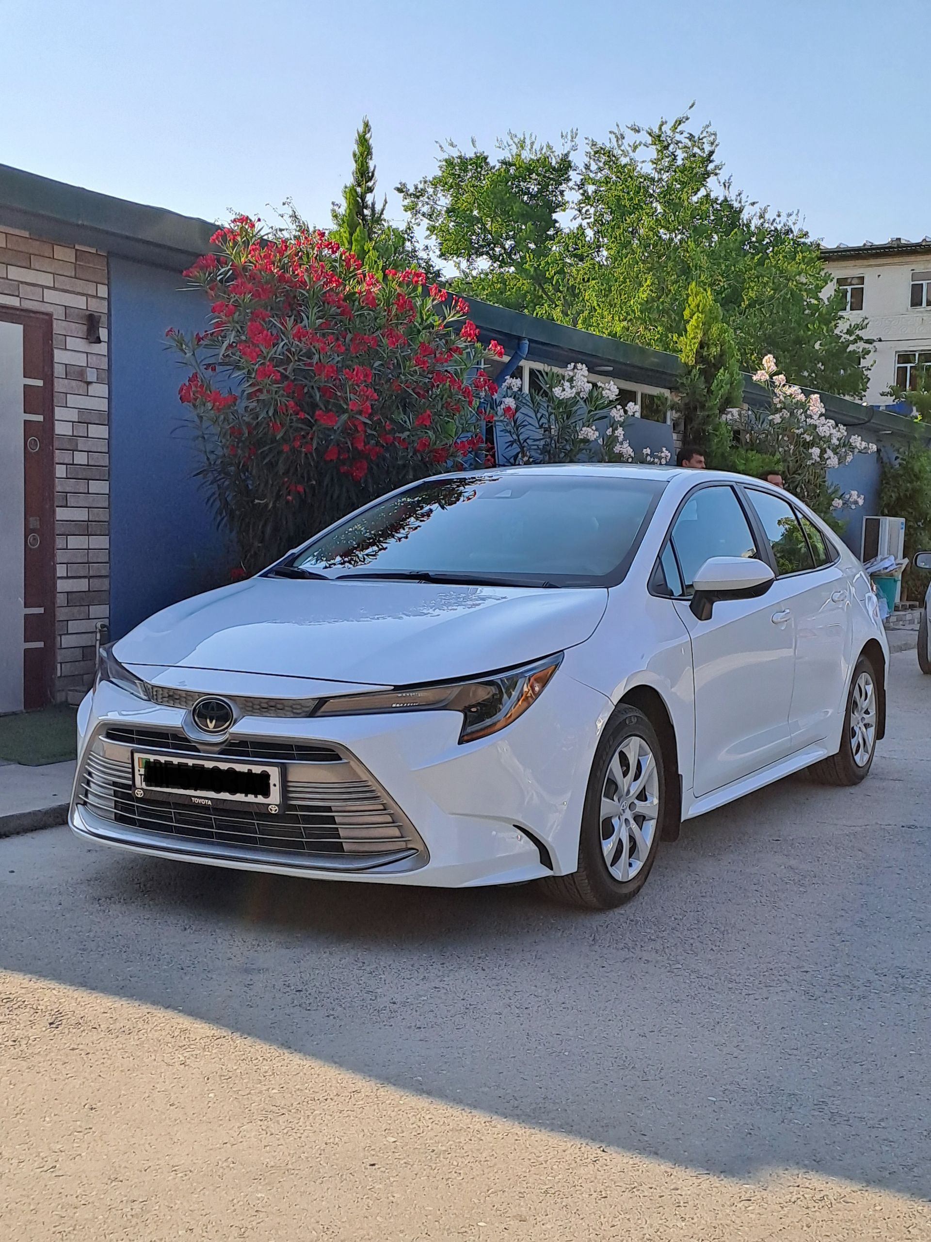 Toyota Corolla 2023 - 267 000 TMT - Ашхабад - img 1