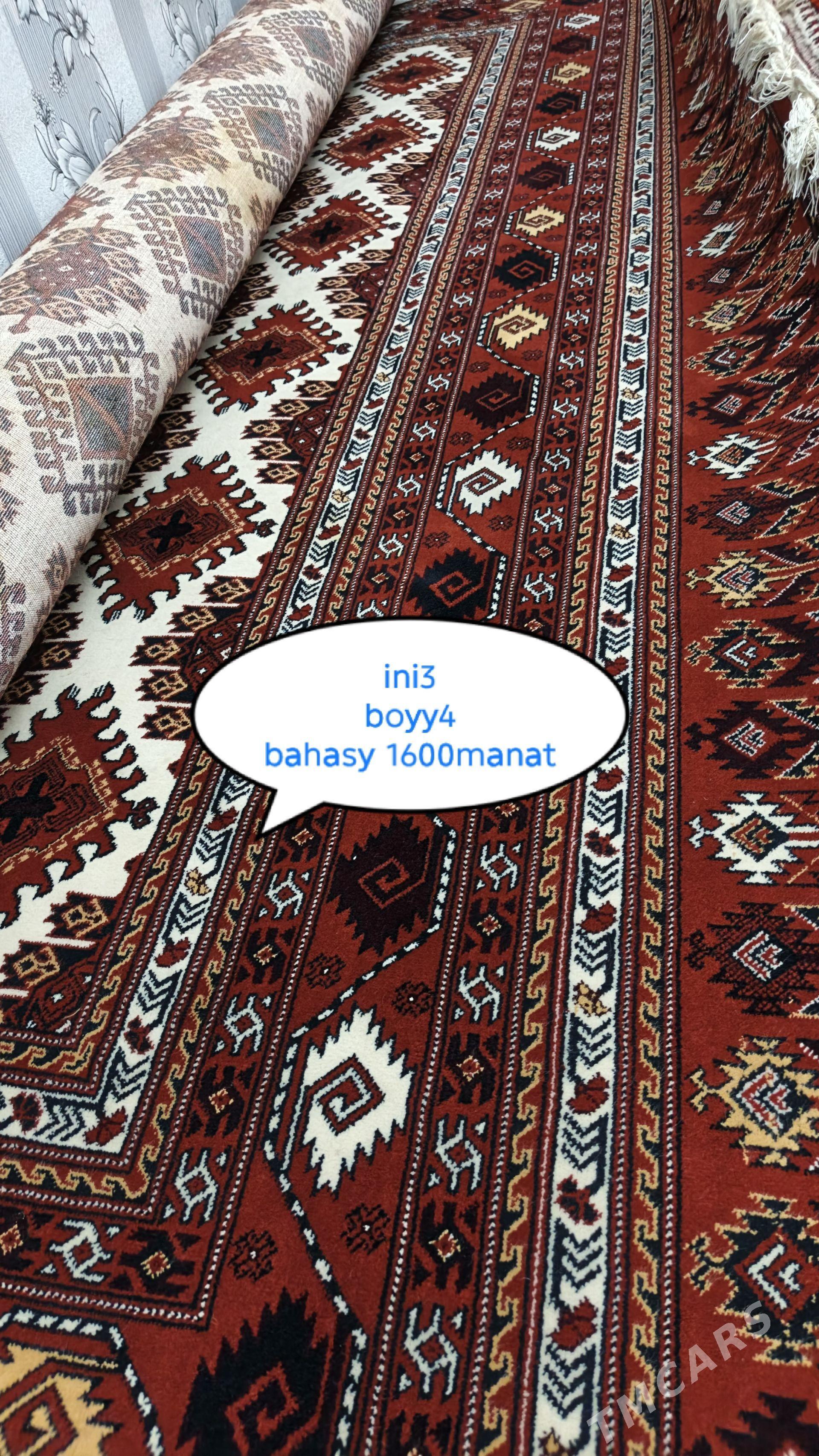 Haly - Gyzylarbat - img 1