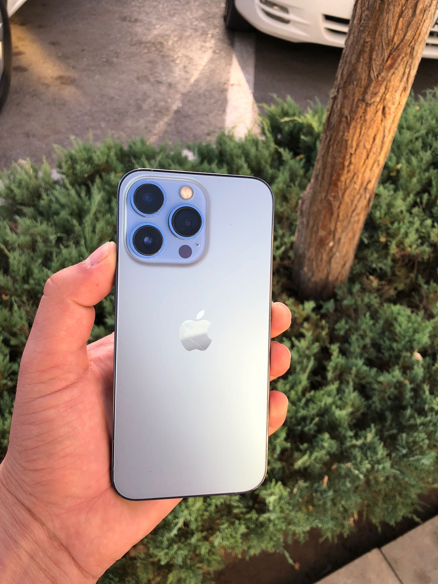 iPhone 13 Pro 77 - Ашхабад - img 1