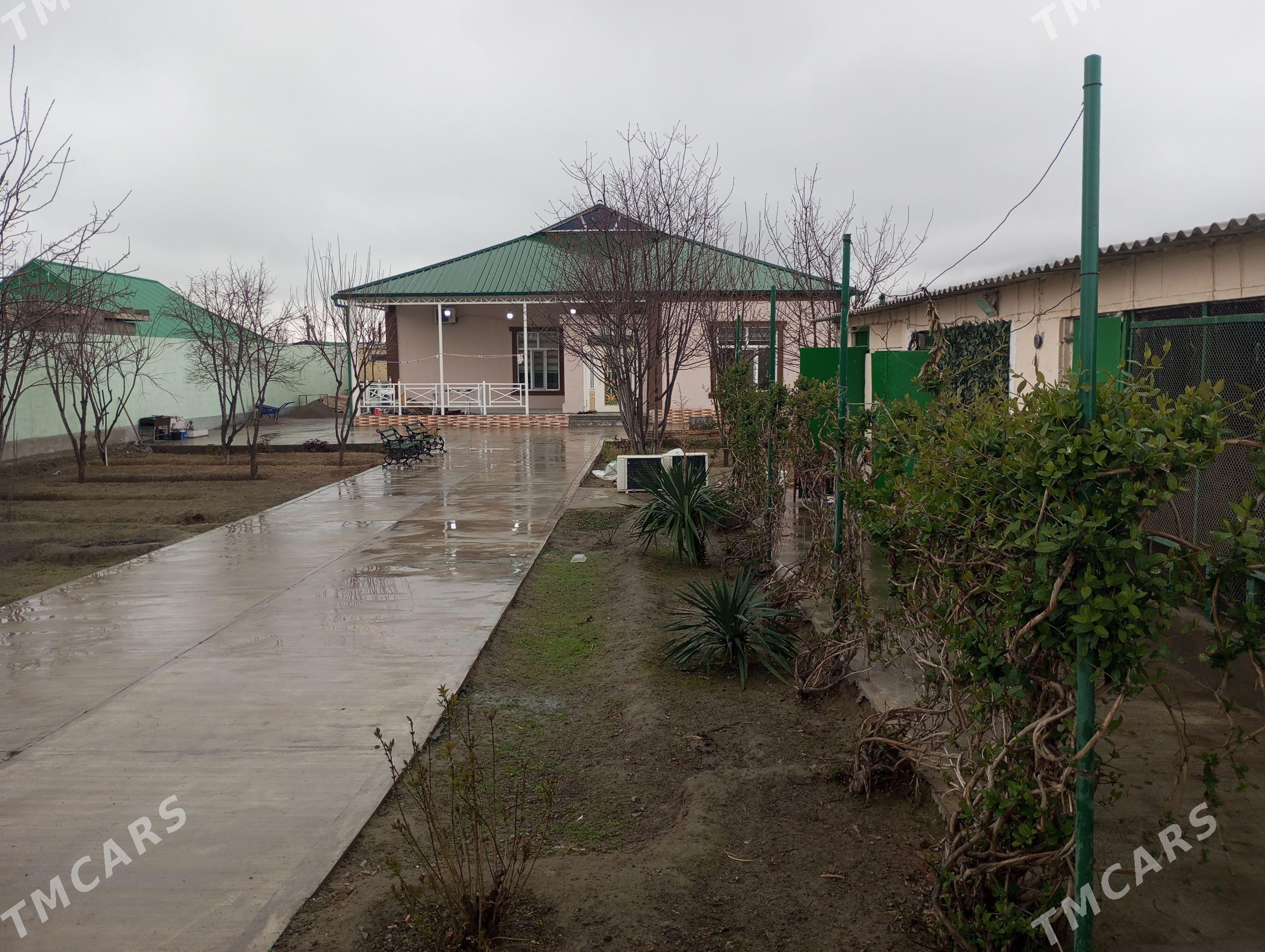 Bagyr Dasgala - Багир - img 1