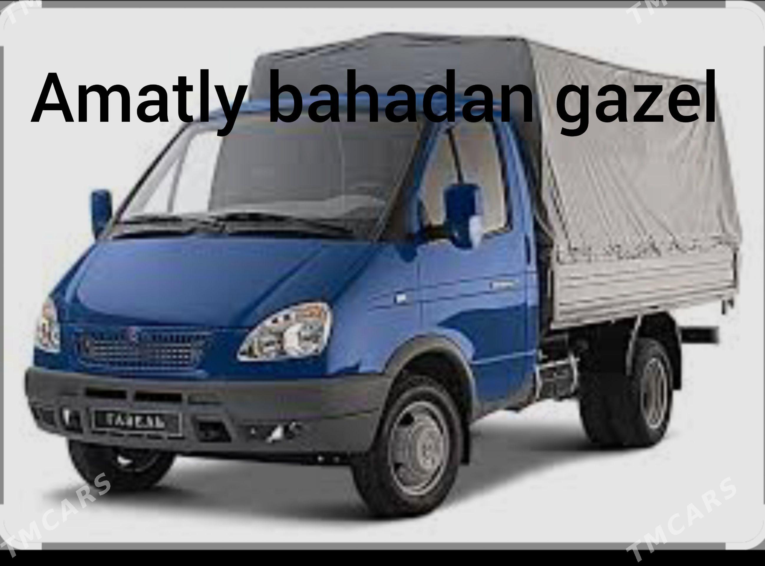gazel - Ашхабад - img 1