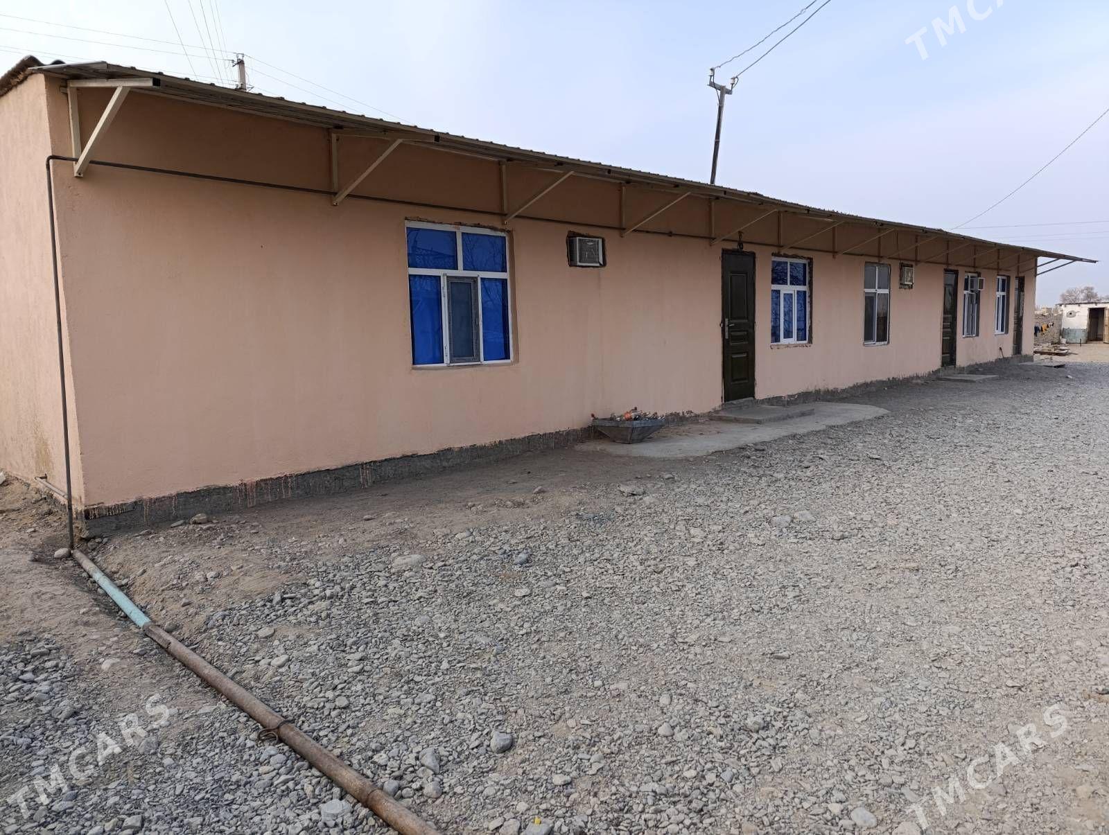 Anew źibi obasy - Änew - img 1