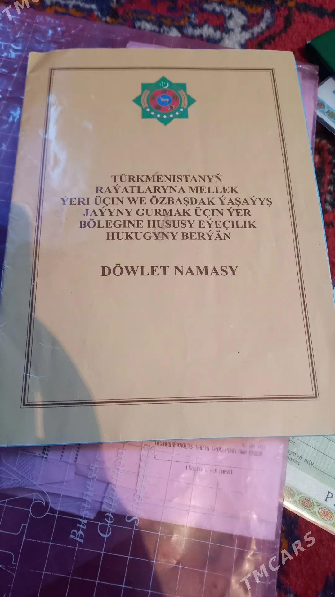 Satlyk Mellek Oñaldy - Анев - img 1