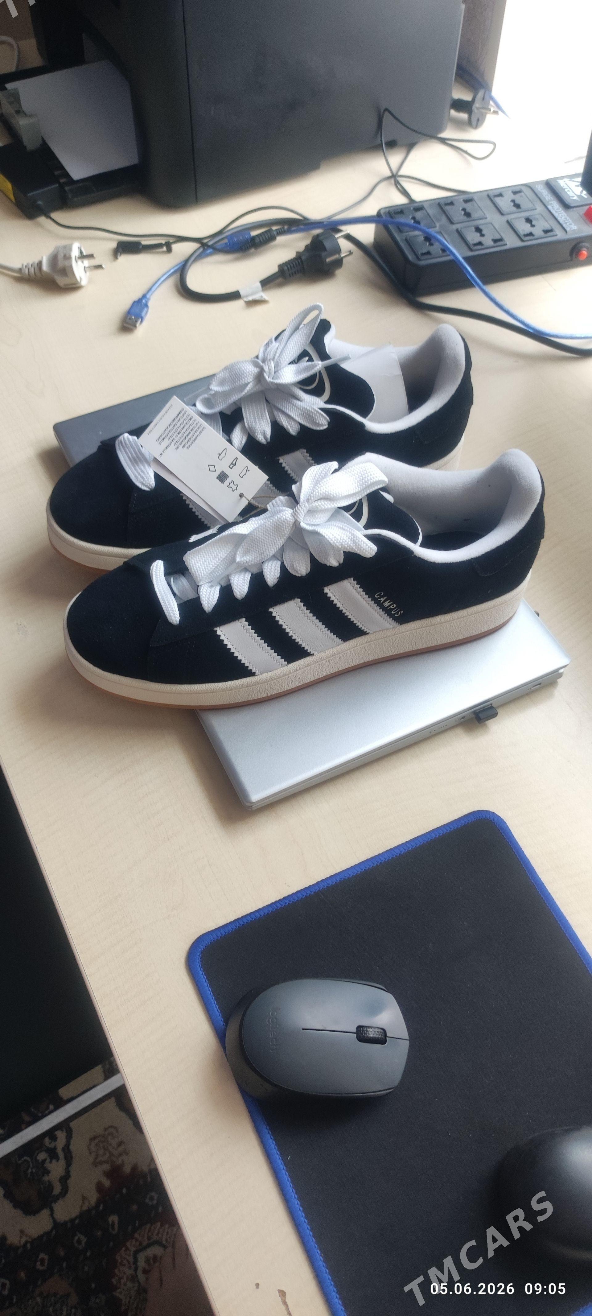 krasowka Adidas campus - Mary - img 1