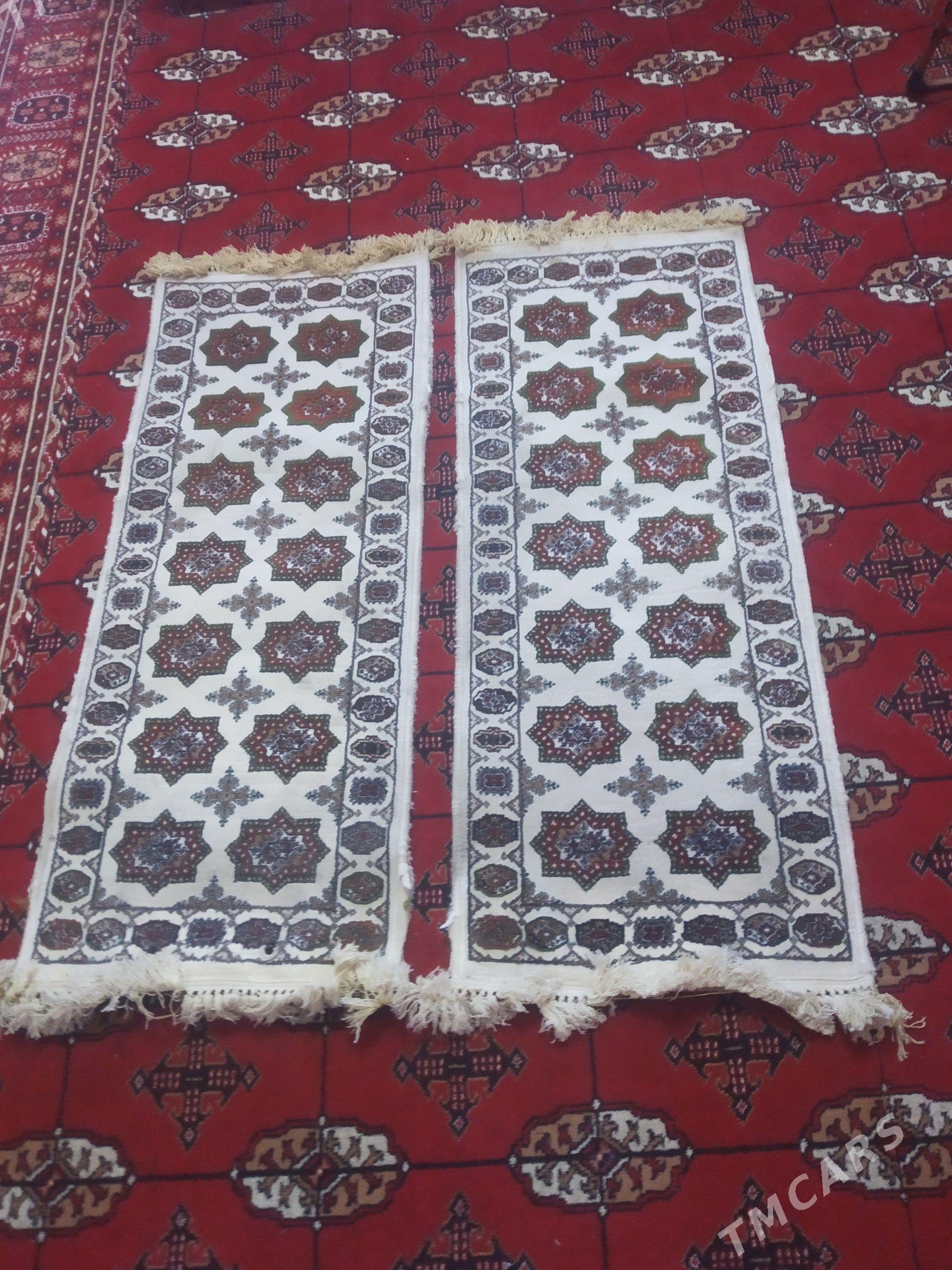 haly - Türkmenabat - img 1