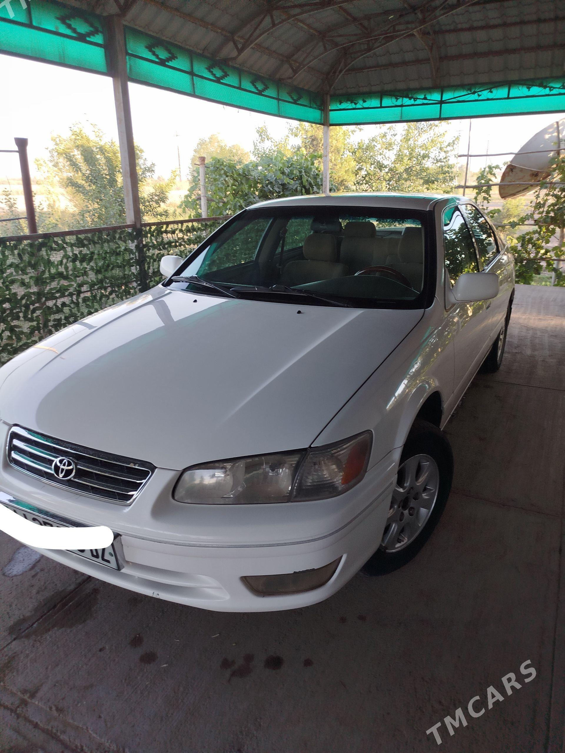 Toyota Camry 2001 - 175 000 TMT - Türkmenbaşy etr. - img 1