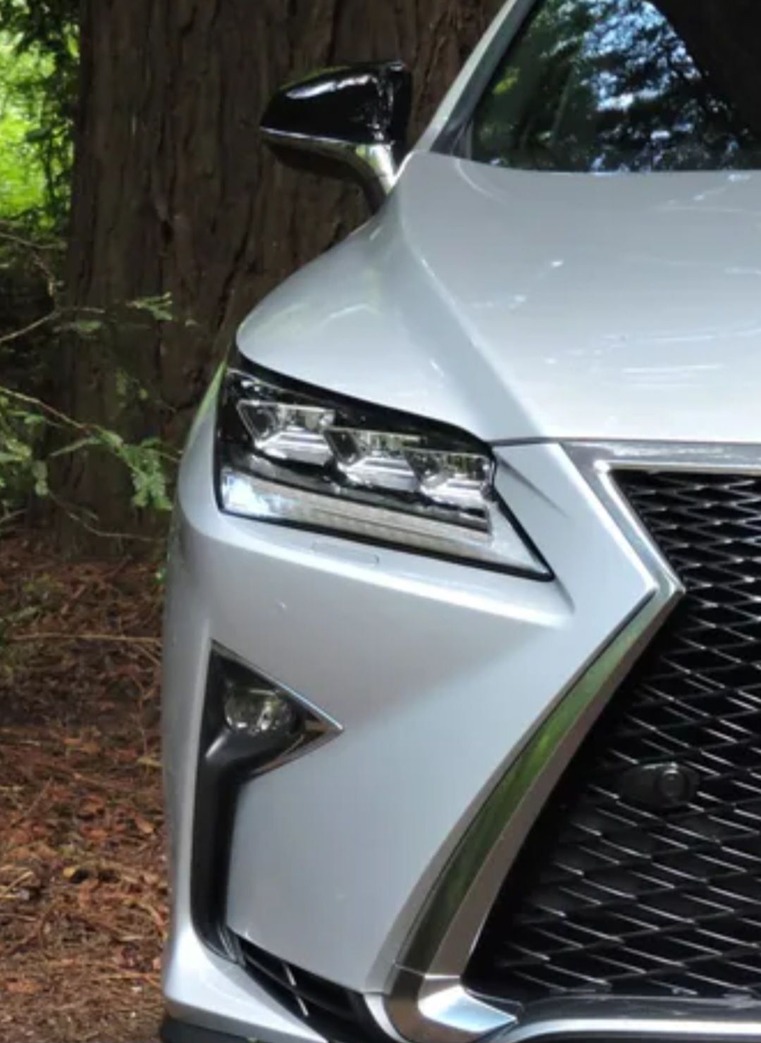 Lexus fara 11 000 TMT - Podwoýski köç. (Bitarap Türkmenistan şaýoly) - img 1