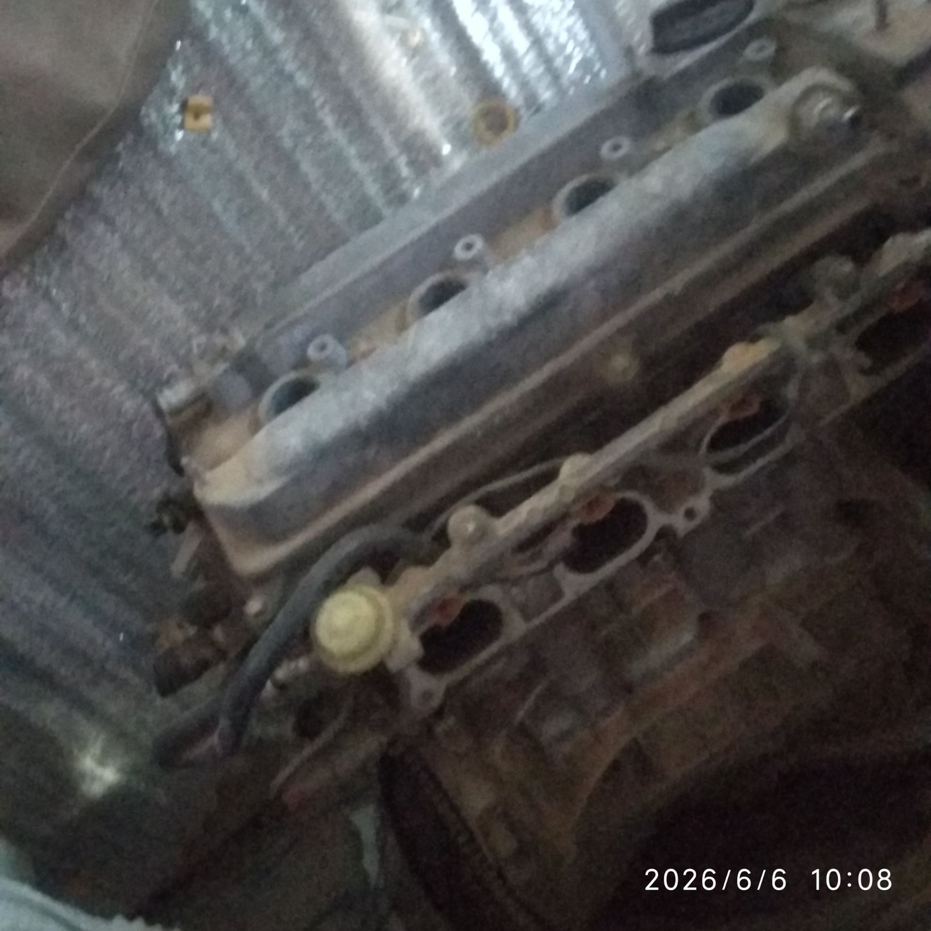 Mator 2.4 okuzkelle 1 600 TMT - Туркменабат - img 1