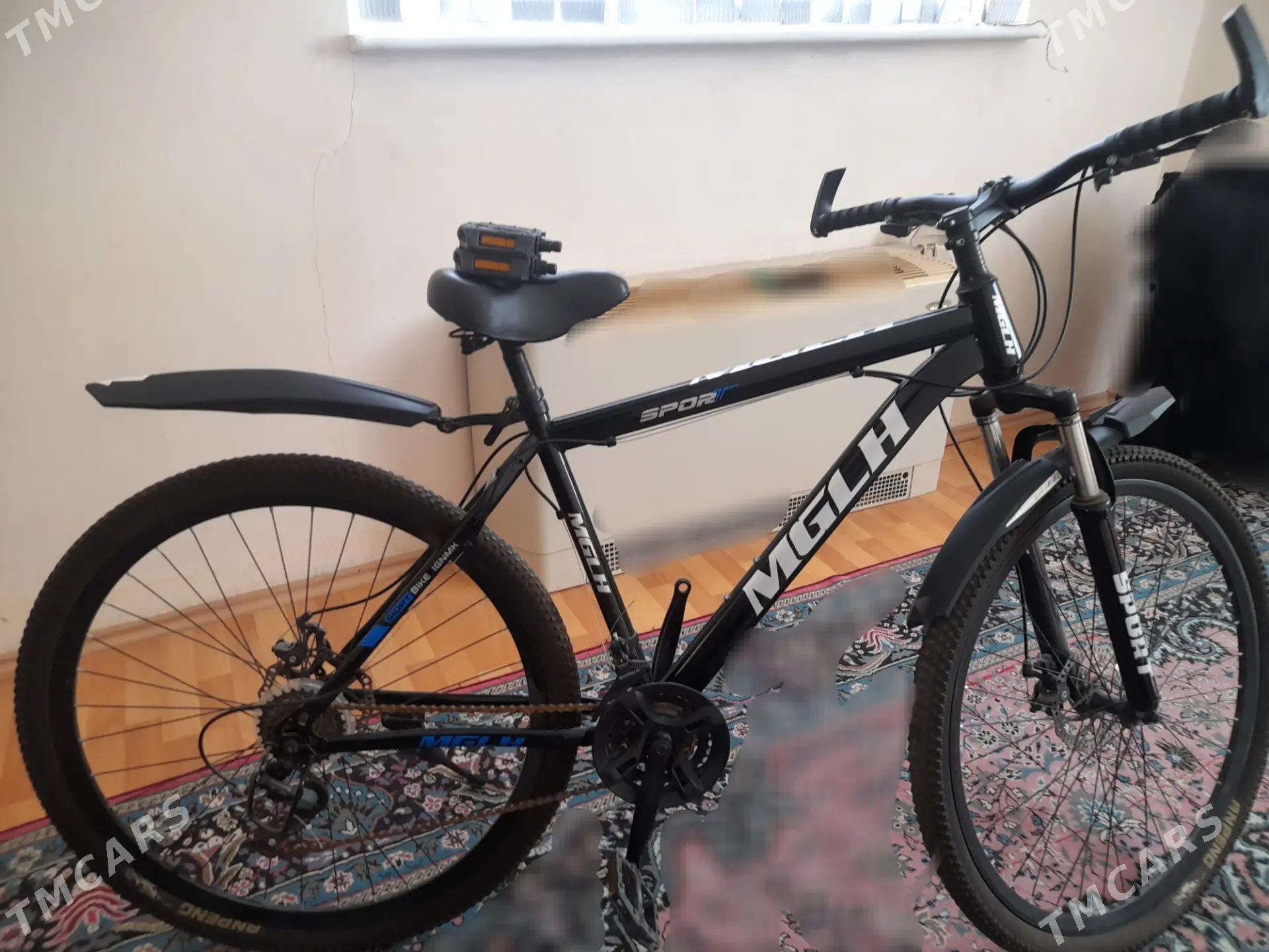Tigir sportiwny 29-lyk - Aşgabat - img 1