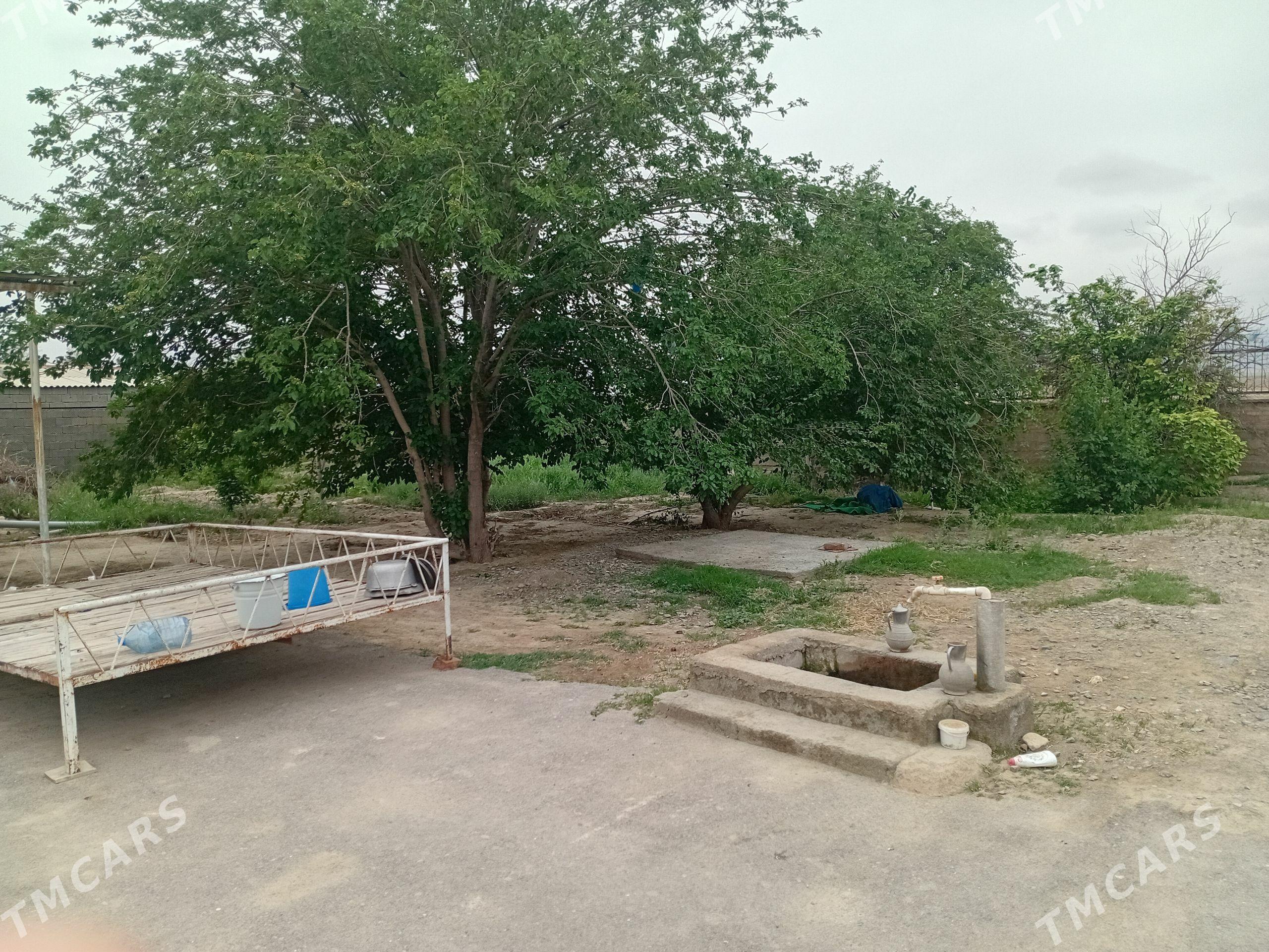 satlyk mellek yer - Бахарден - img 1