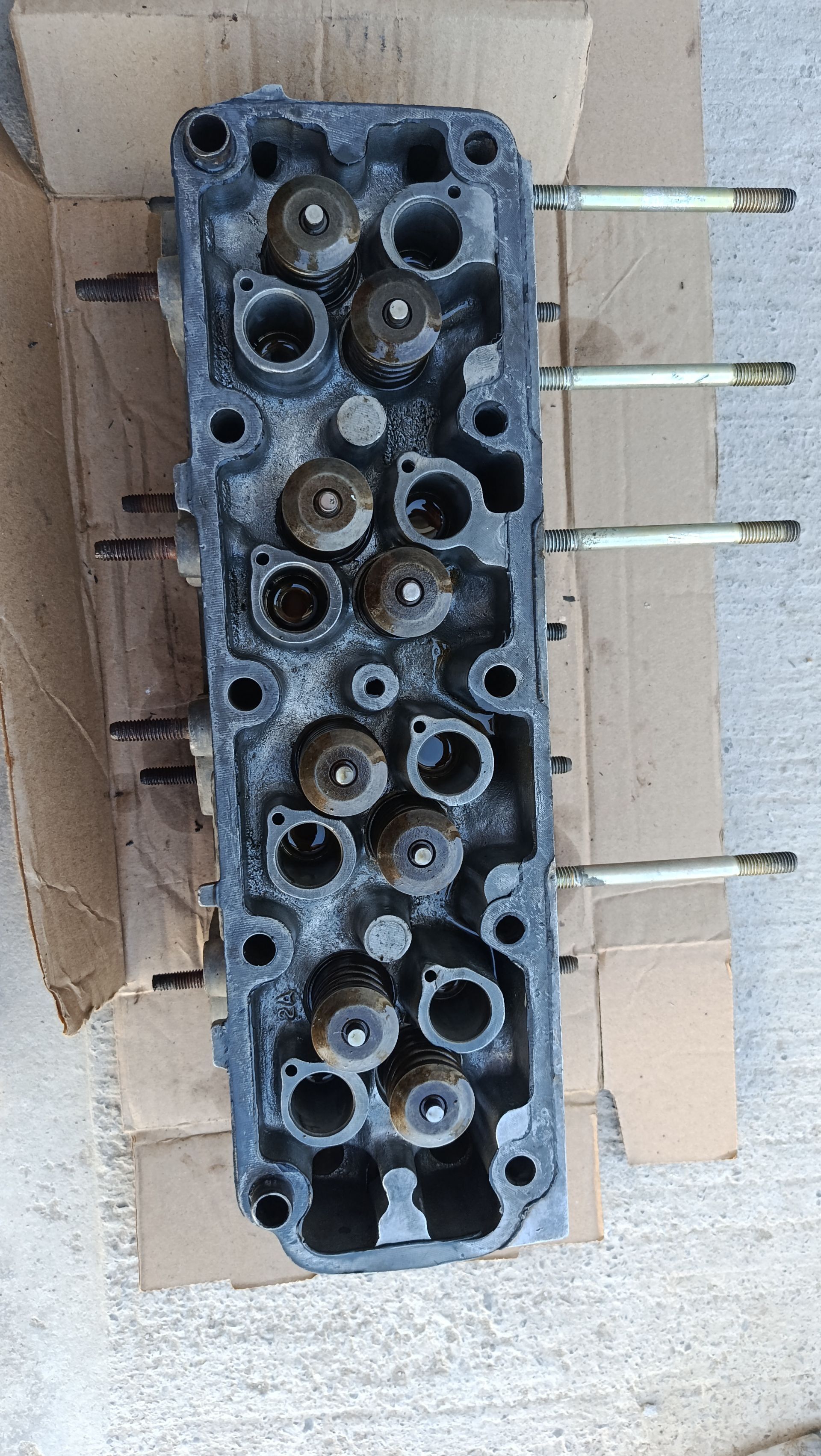 Galofka 900 TMT - Daşoguz - img 1