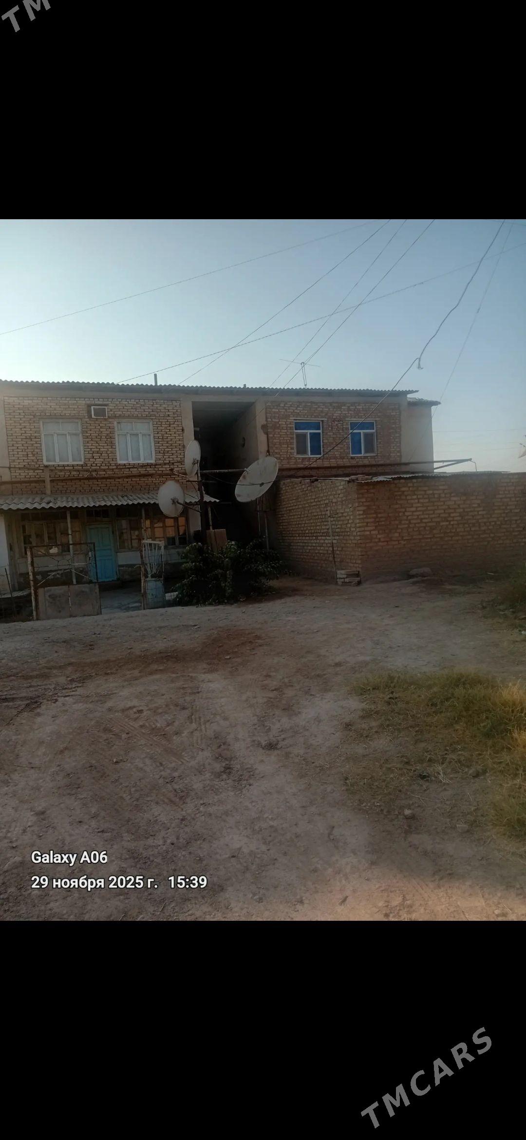 Satlyk jaÿ - Tejen - img 1
