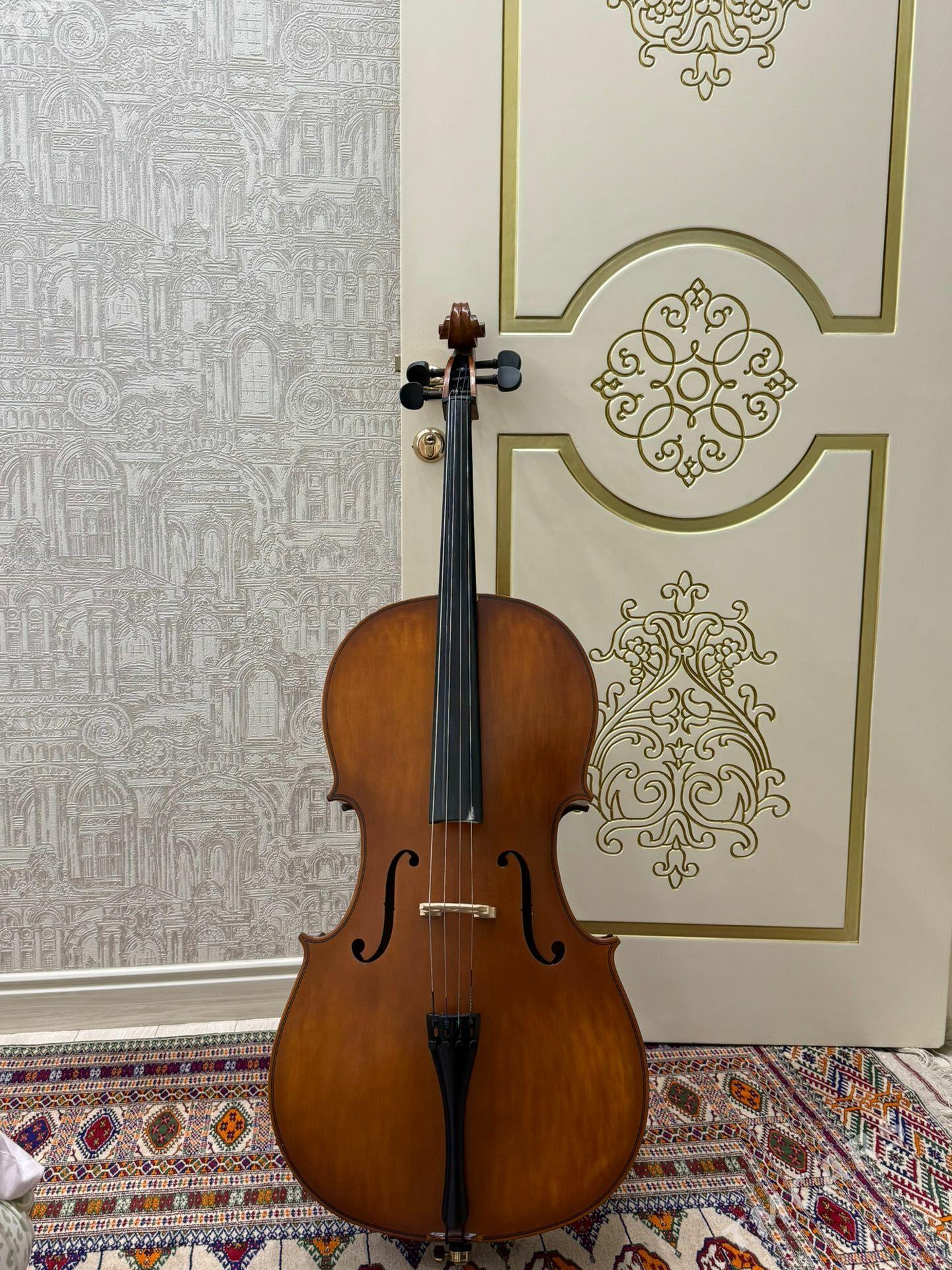 Saz guraly Wiolencel - Aşgabat - img 1