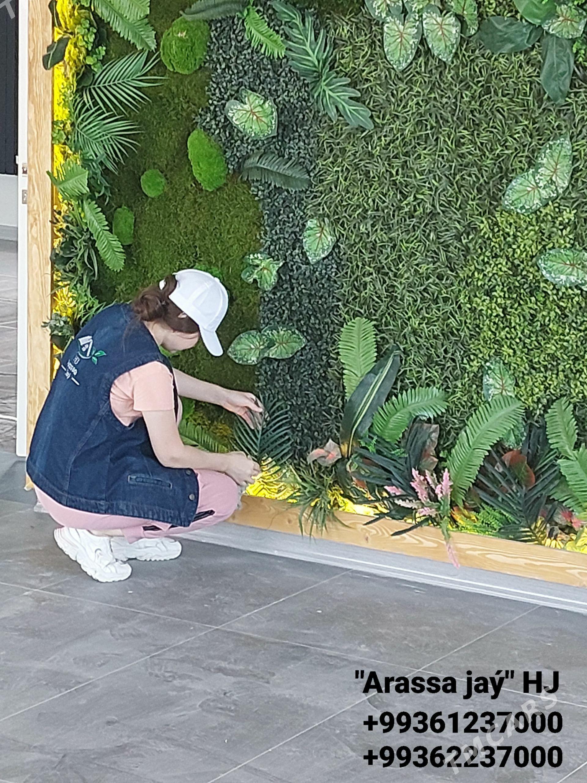 agranom isgar gerek - Ашхабад - img 1