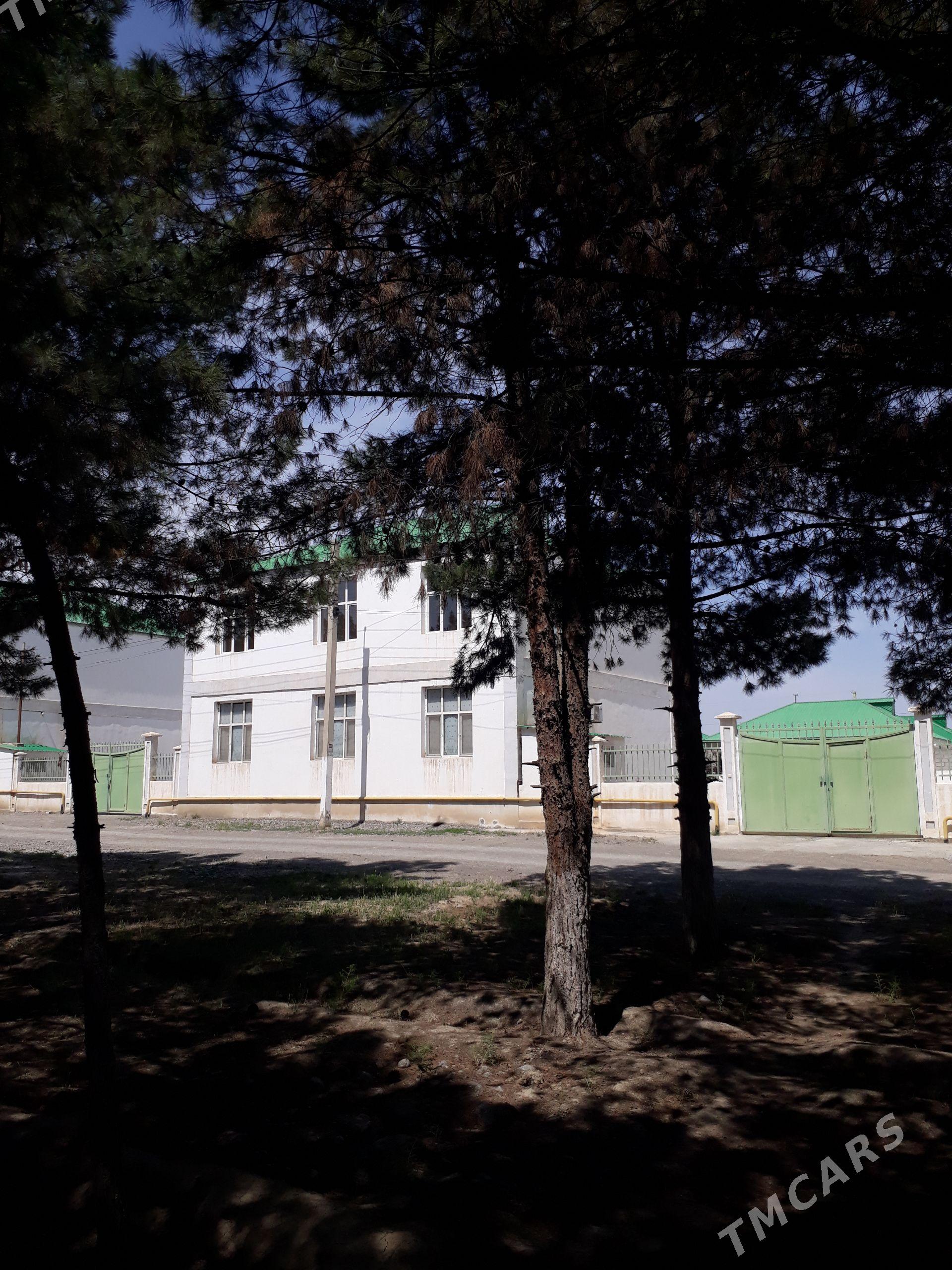 Gökdepe eñkewede kottež jaý - Gökdepe - img 1