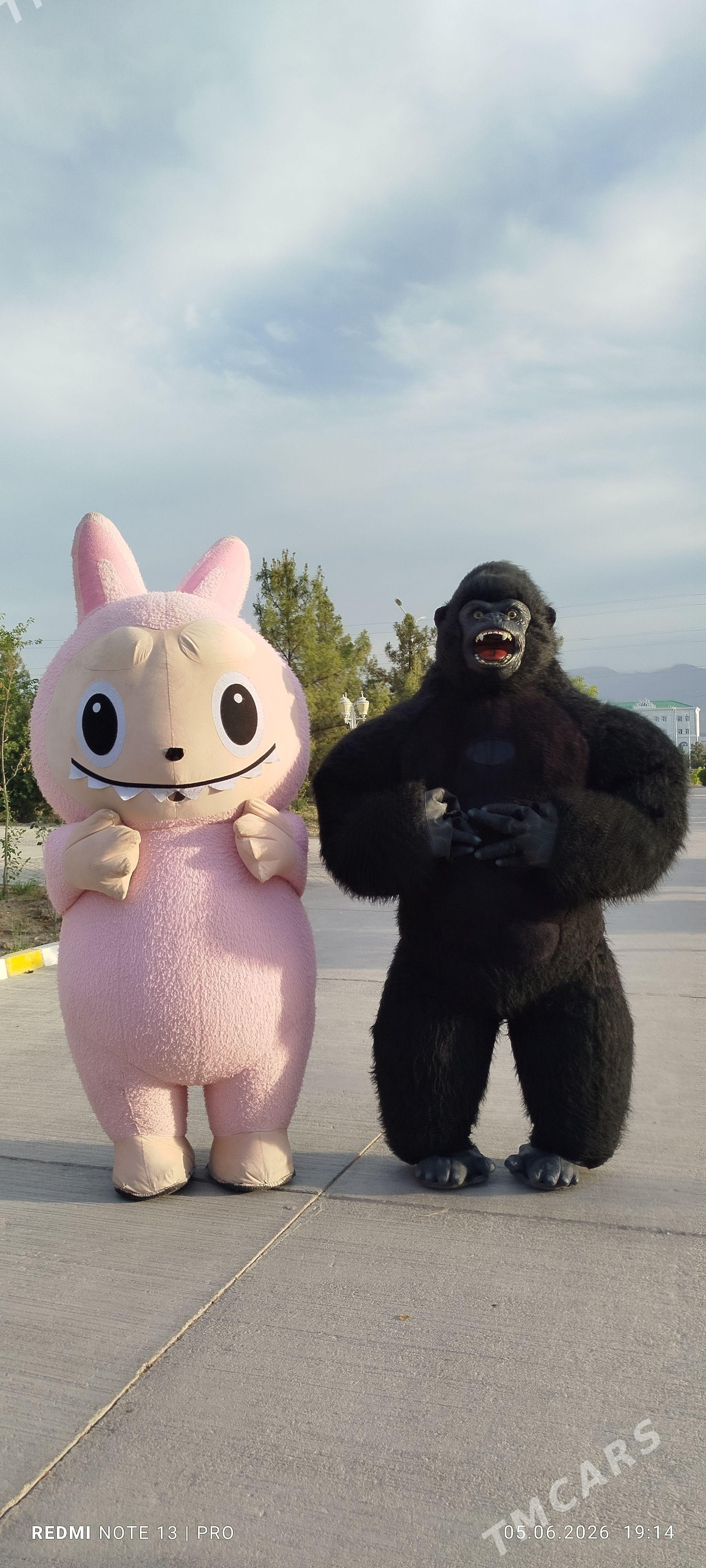 miska 75 - Aşgabat - img 1
