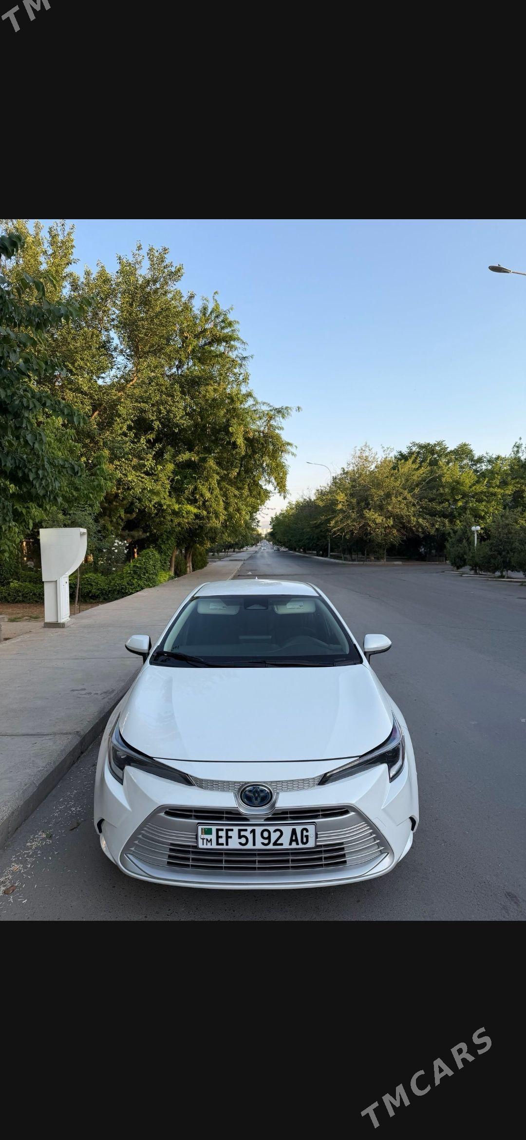 Toyota Corolla 2023 - 295 000 TMT - Aşgabat - img 1