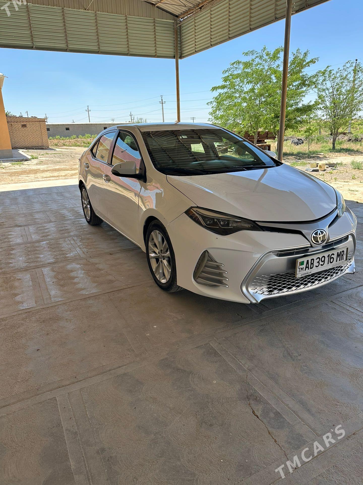 Toyota Corolla 2017 - 205 000 TMT - Ёлётен - img 1