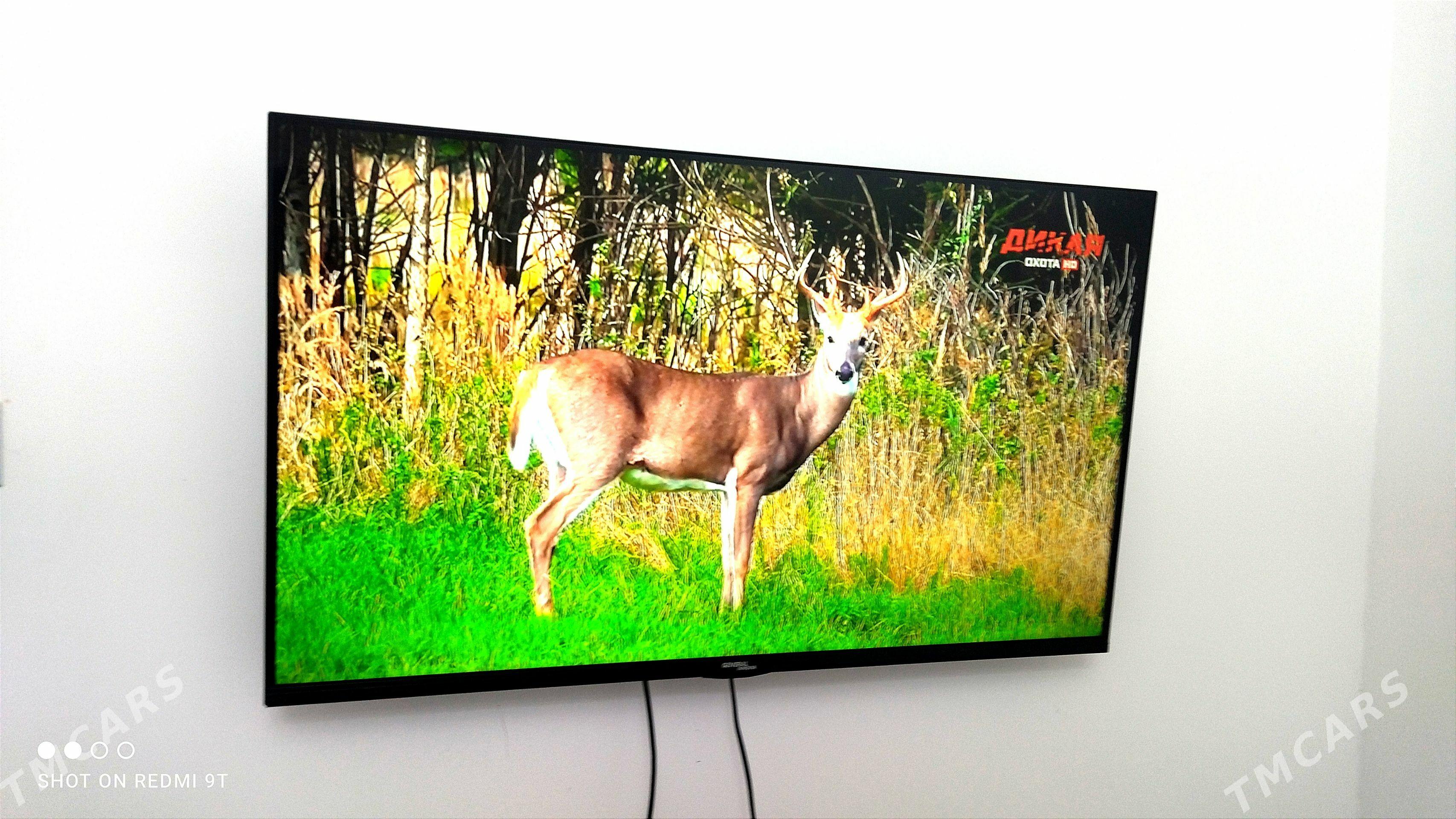 43 телевизор telewizor tv тв - Ашхабад - img 1