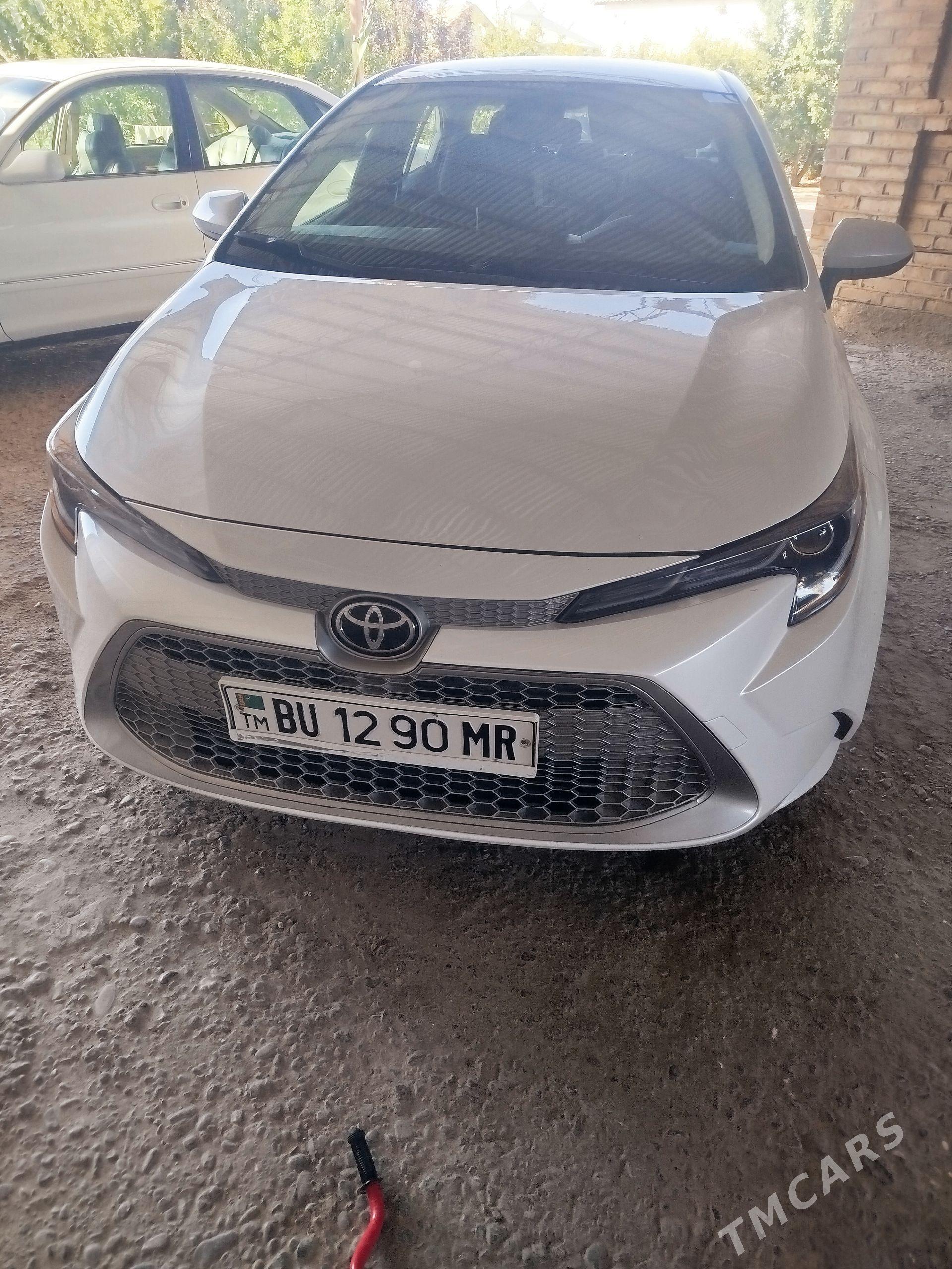 Toyota Corolla 2021 - 228 000 TMT - Mary - img 1