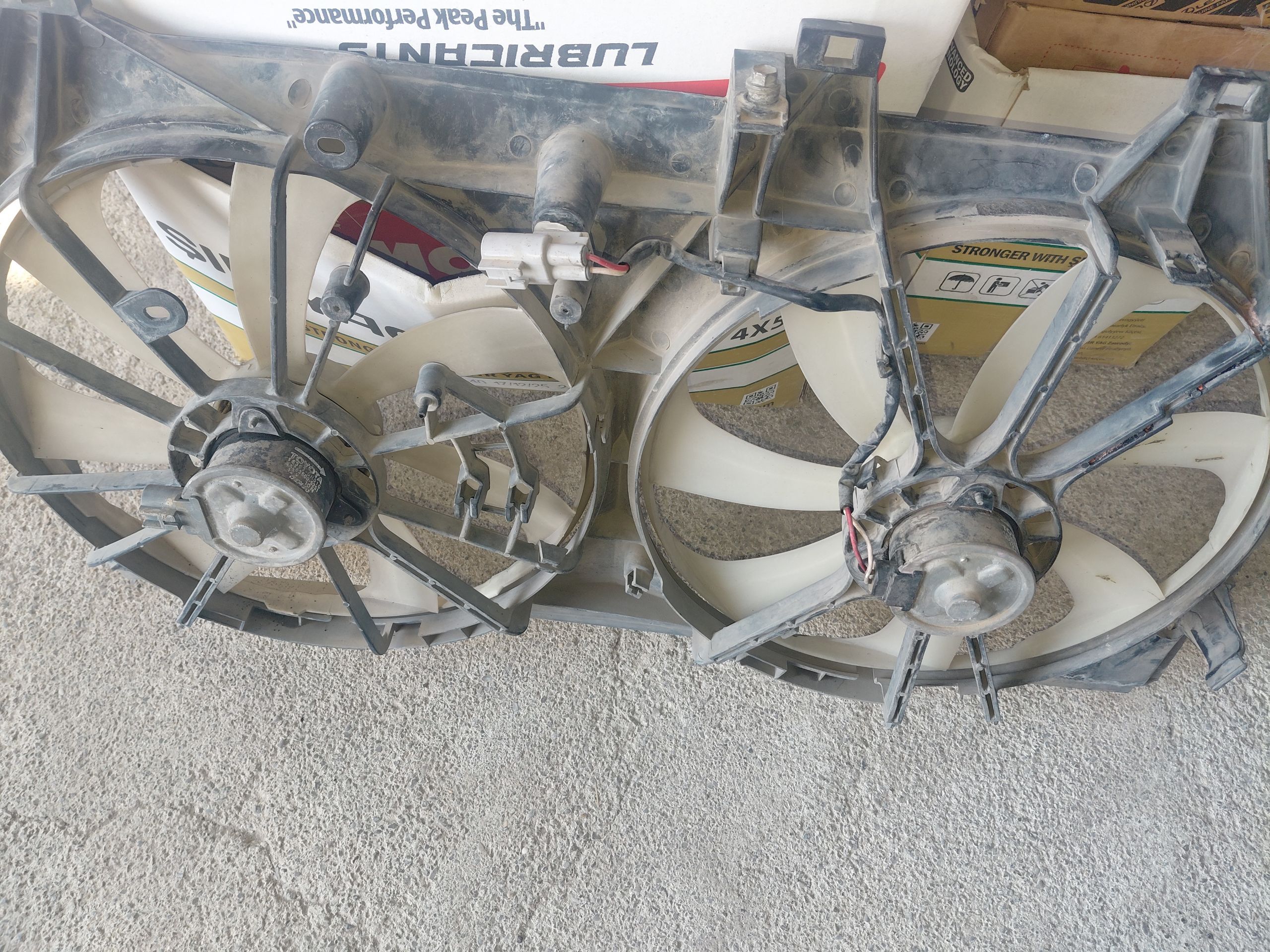 Lopus Palta 2.5 Motor Original 650 TMT - Aşgabat - img 1