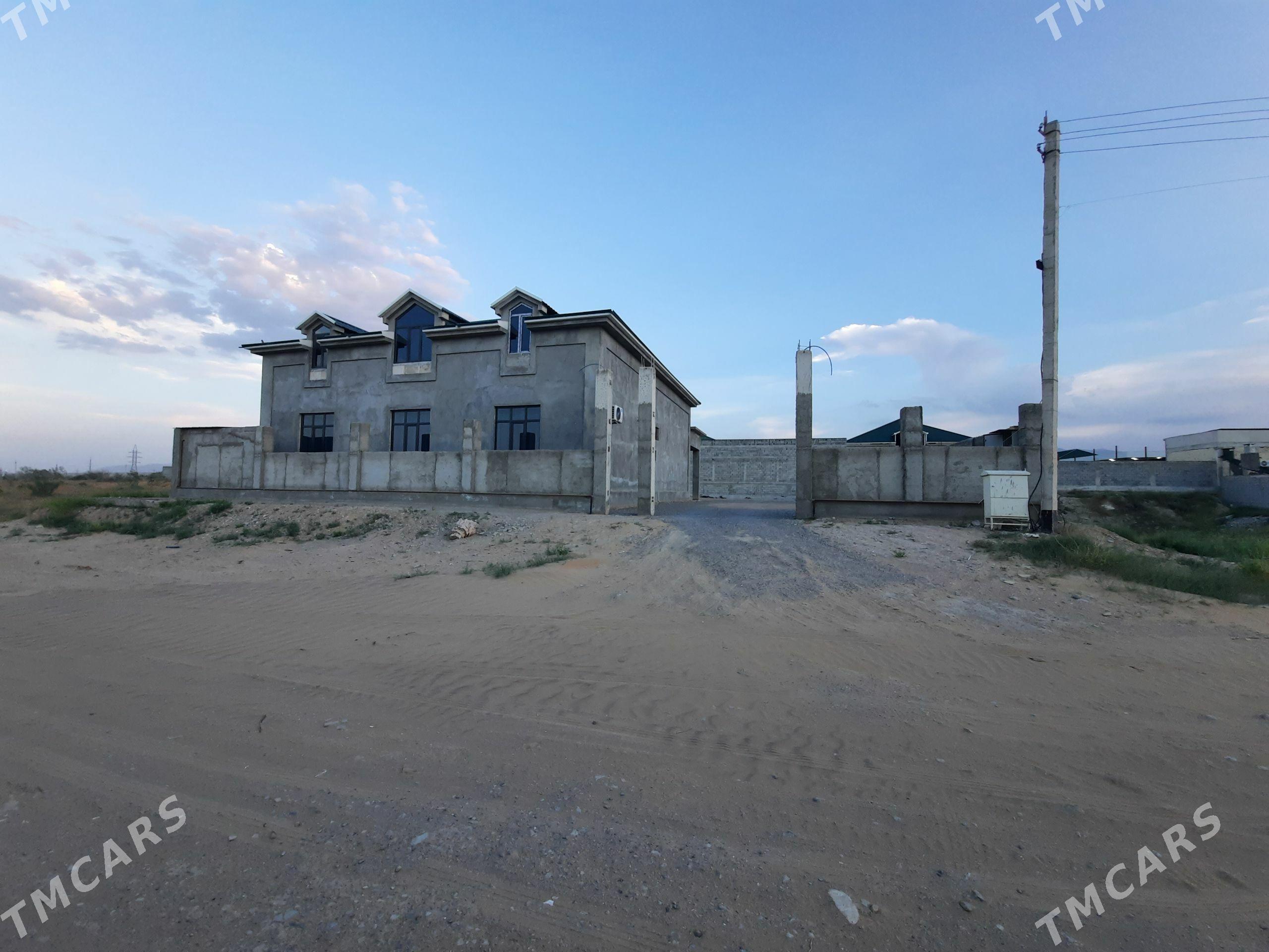 Anew Magtymguly12 - Анев - img 1