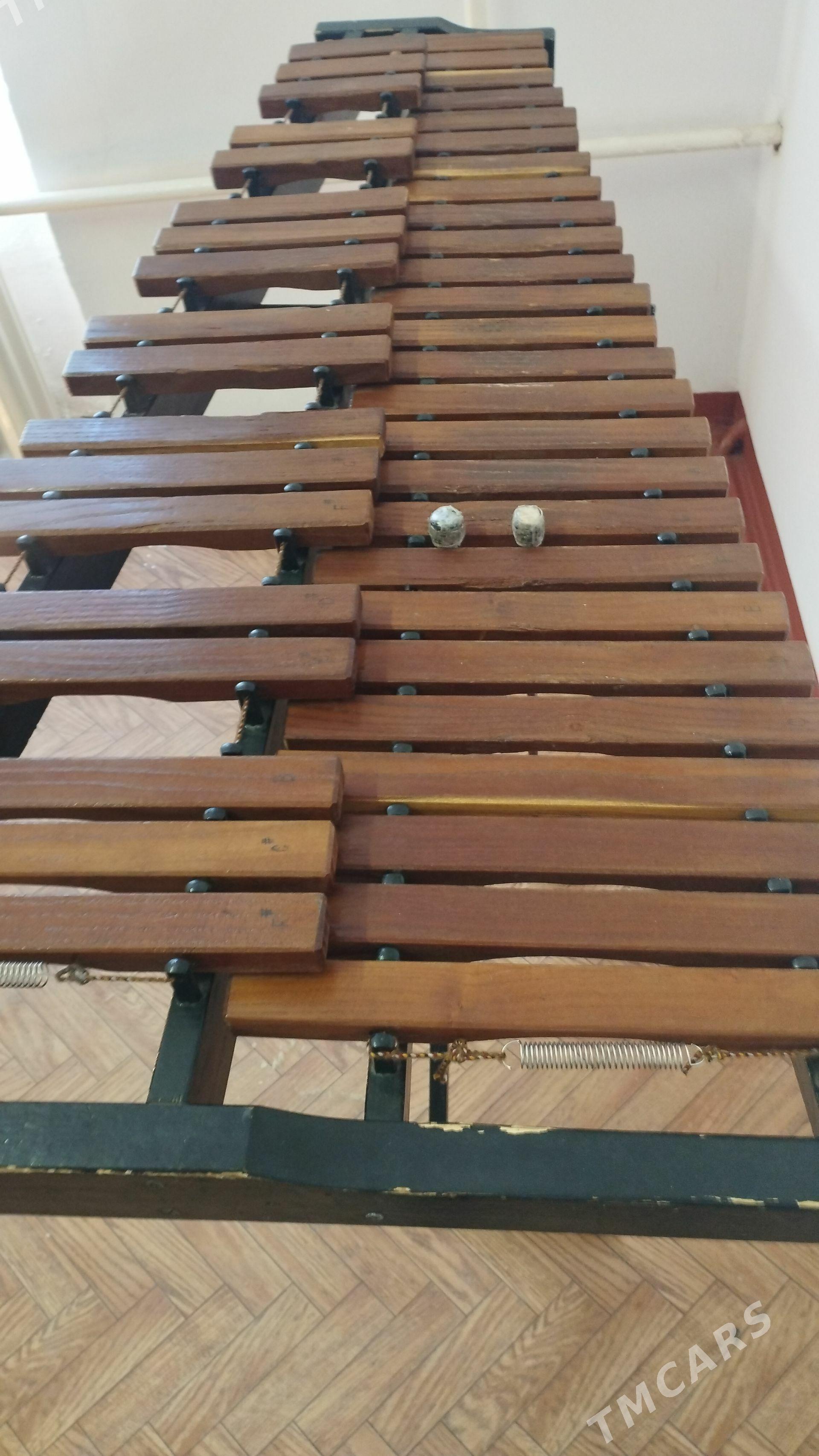 Ksilofon - Daşoguz - img 1