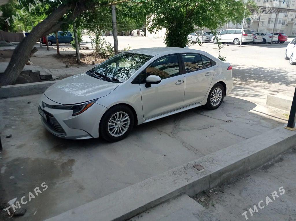 Toyota Corolla 2024 - 290 000 TMT - Türkmenabat - img 1