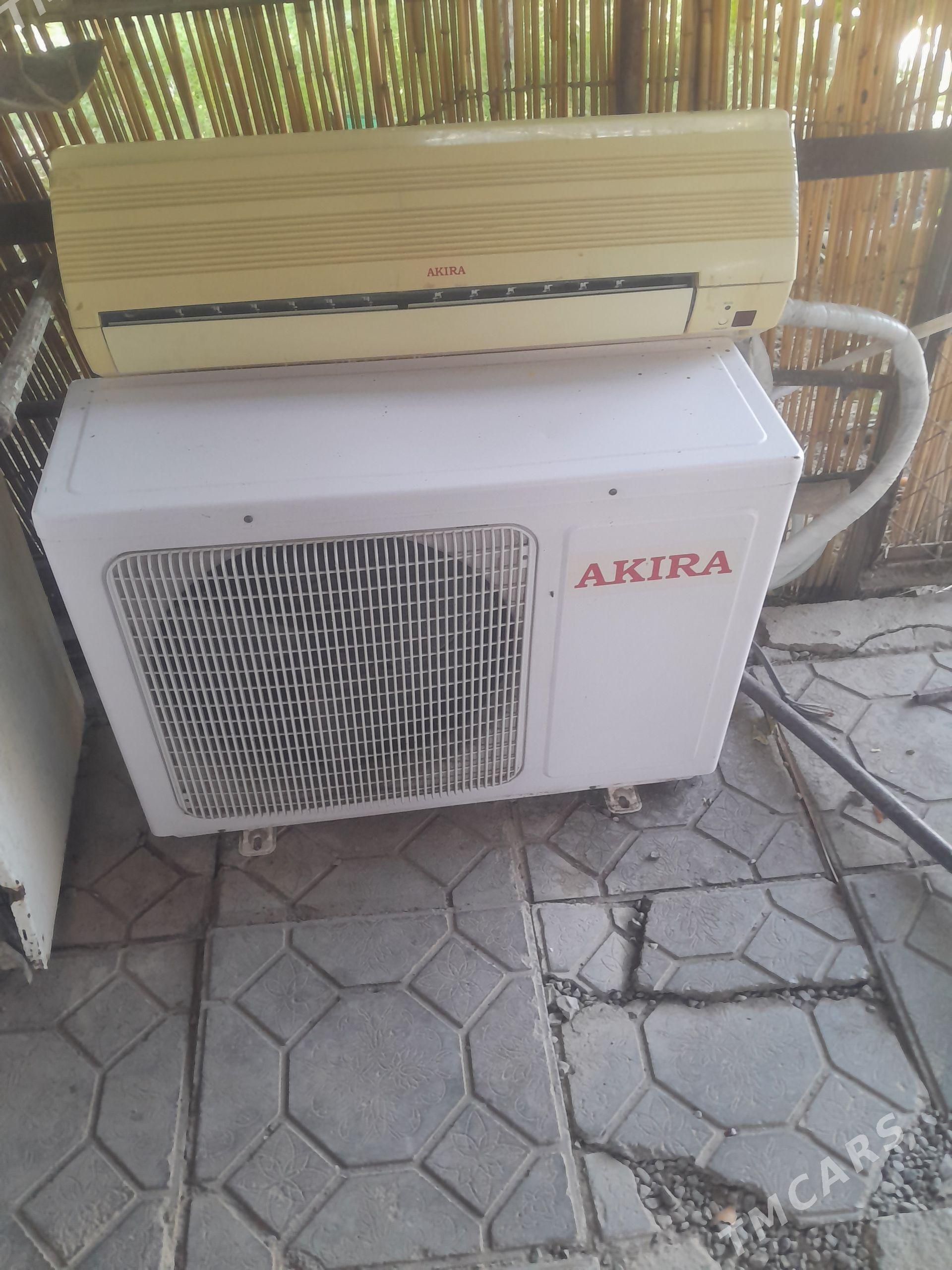 Akira - Ak bugdaý etraby - img 1