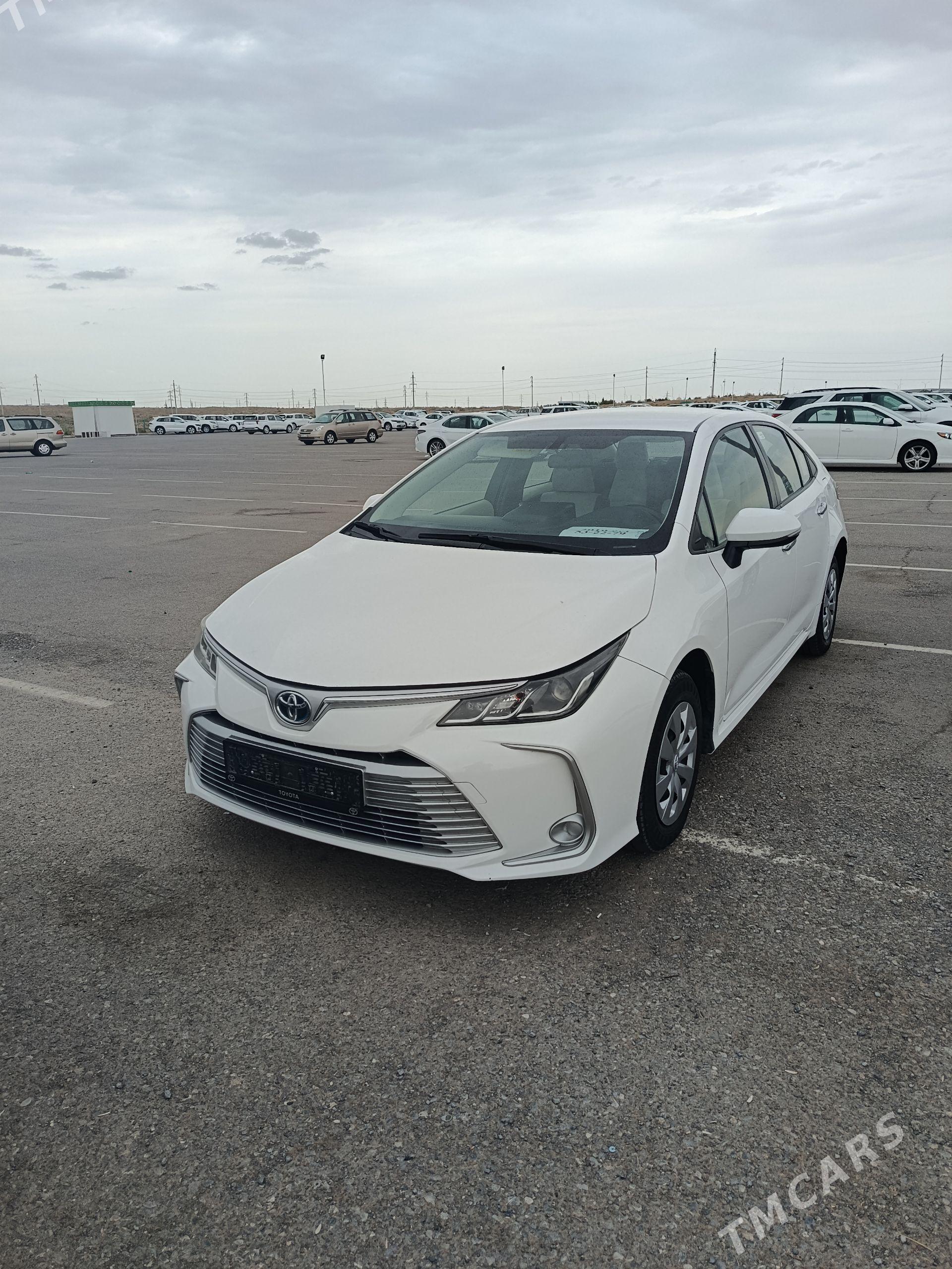 Toyota Corolla Hybrid 2019 - 234 000 TMT - Aşgabat - img 1