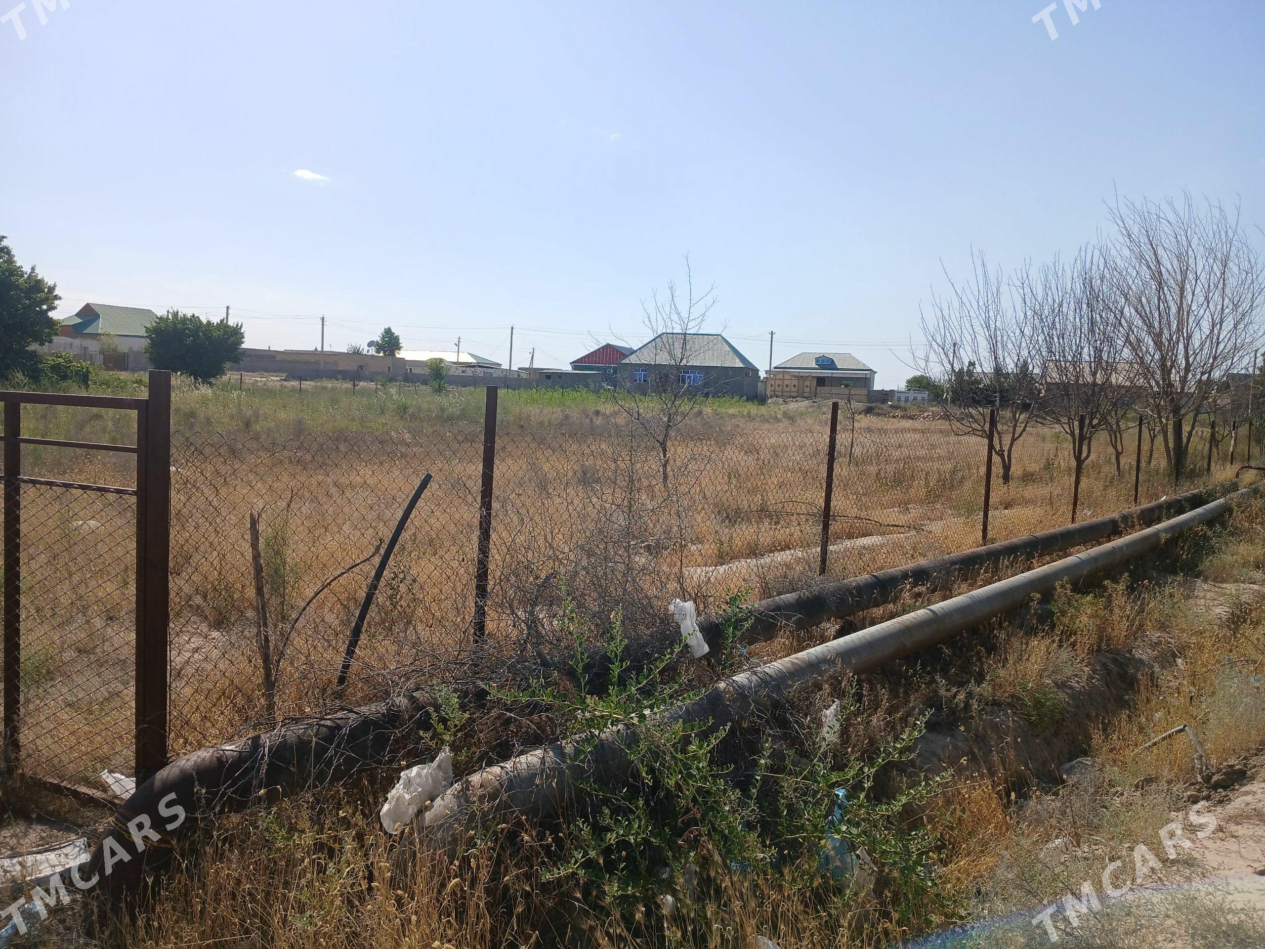 mellek ÿer - Kaka - img 1