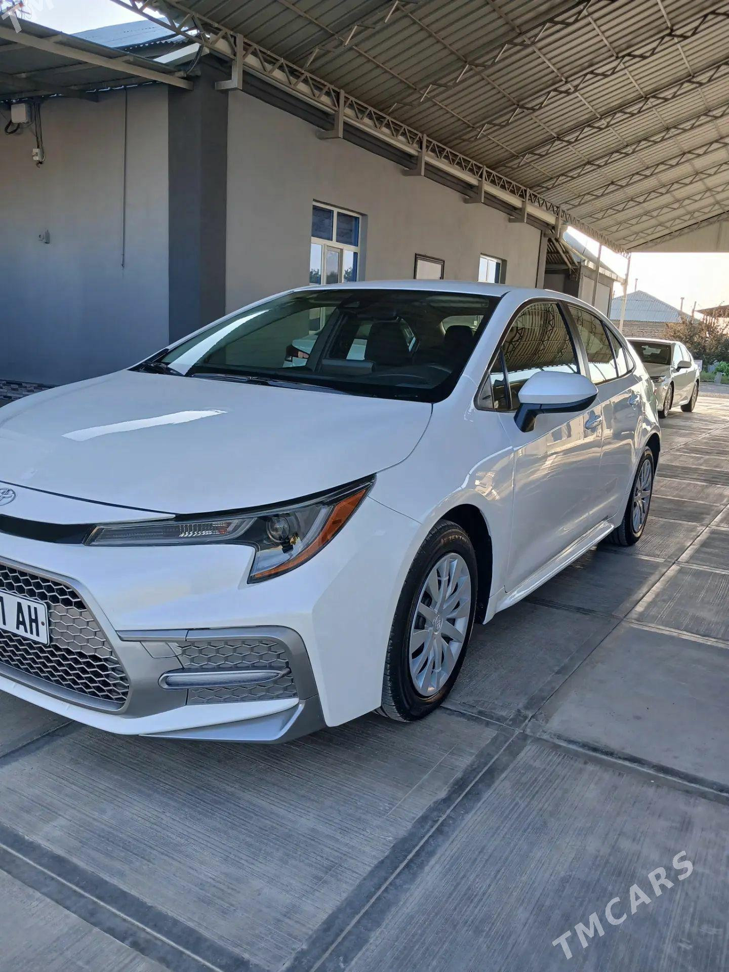 Toyota Corolla 2022 - 250 000 TMT - Gökdepe - img 1