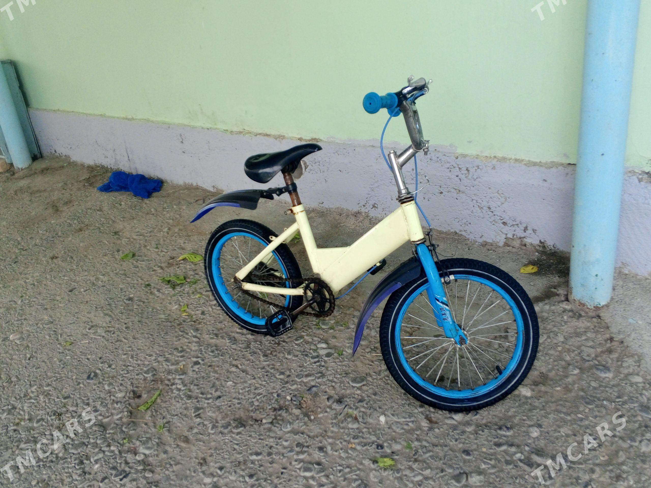 tigir - Büzmeýin - img 1