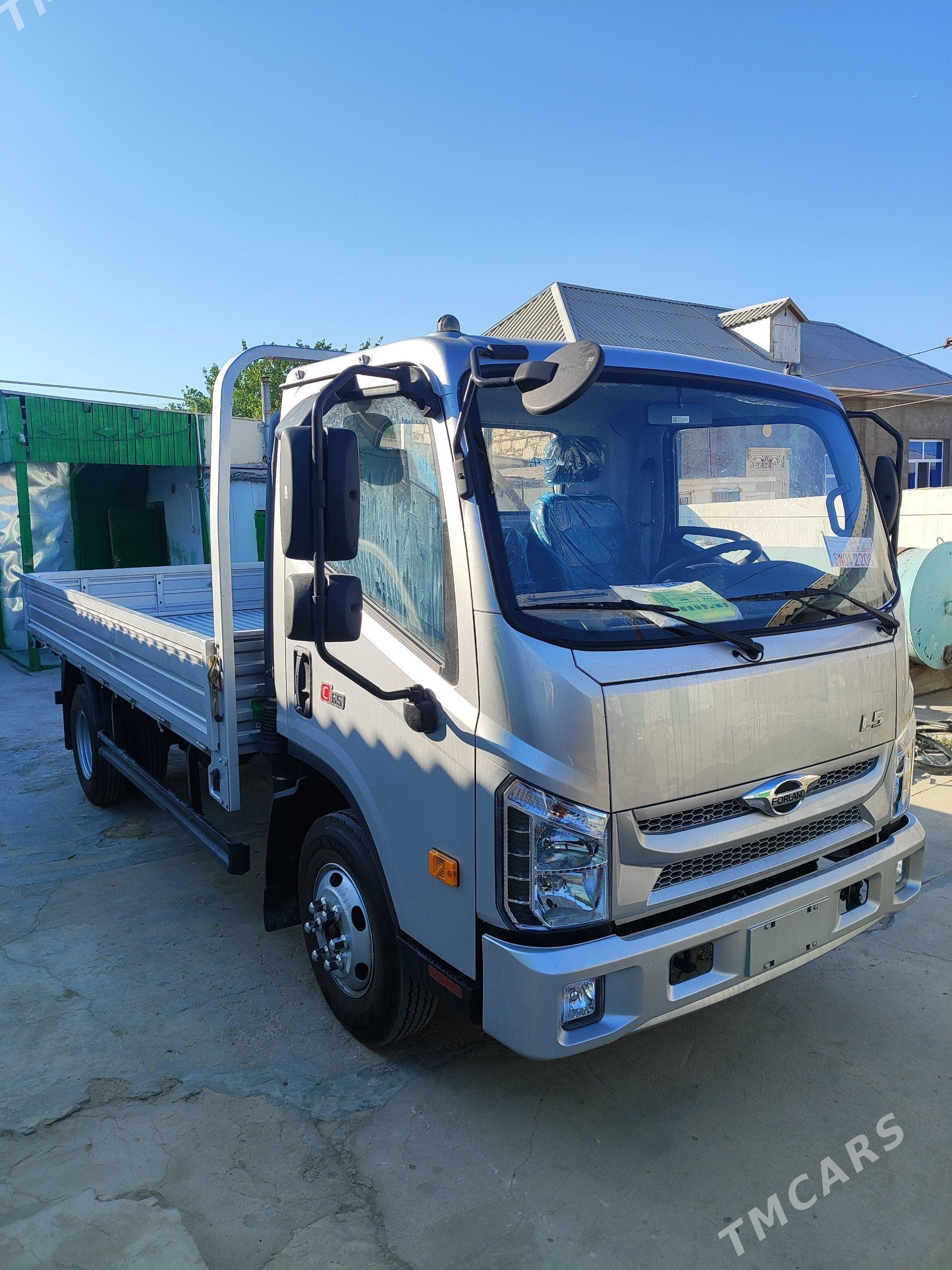 Forland H2 2025 - 330 000 TMT - Балканабат - img 1