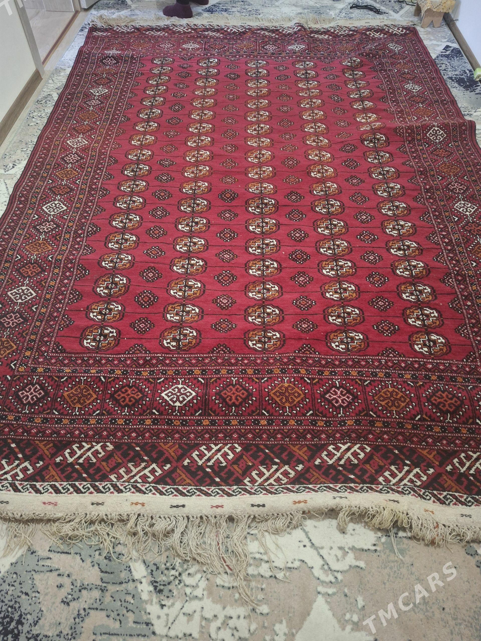 Turkmen haly - Daşoguz - img 1