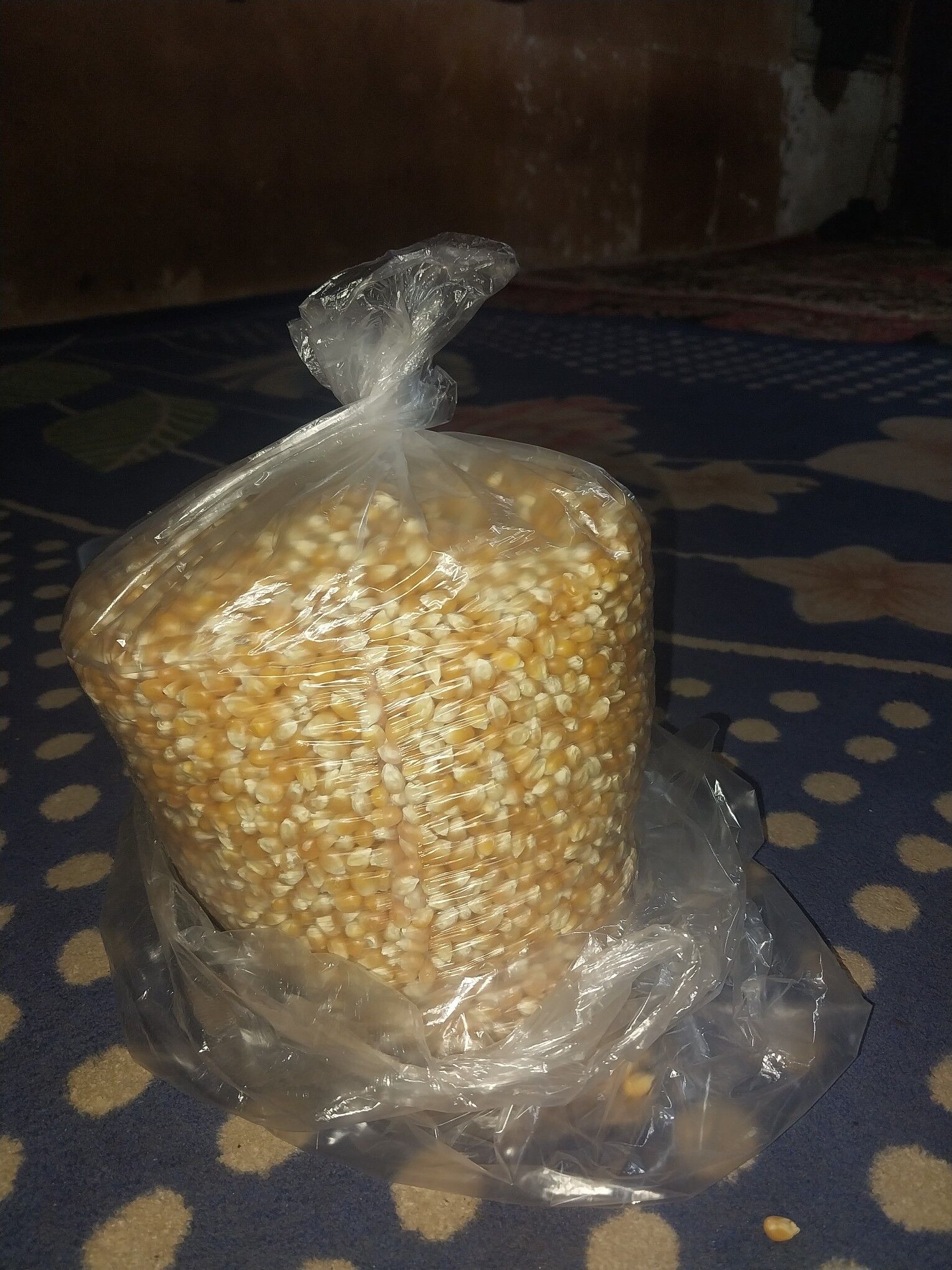 Patrak mekgesi - Büzmeýin - img 1