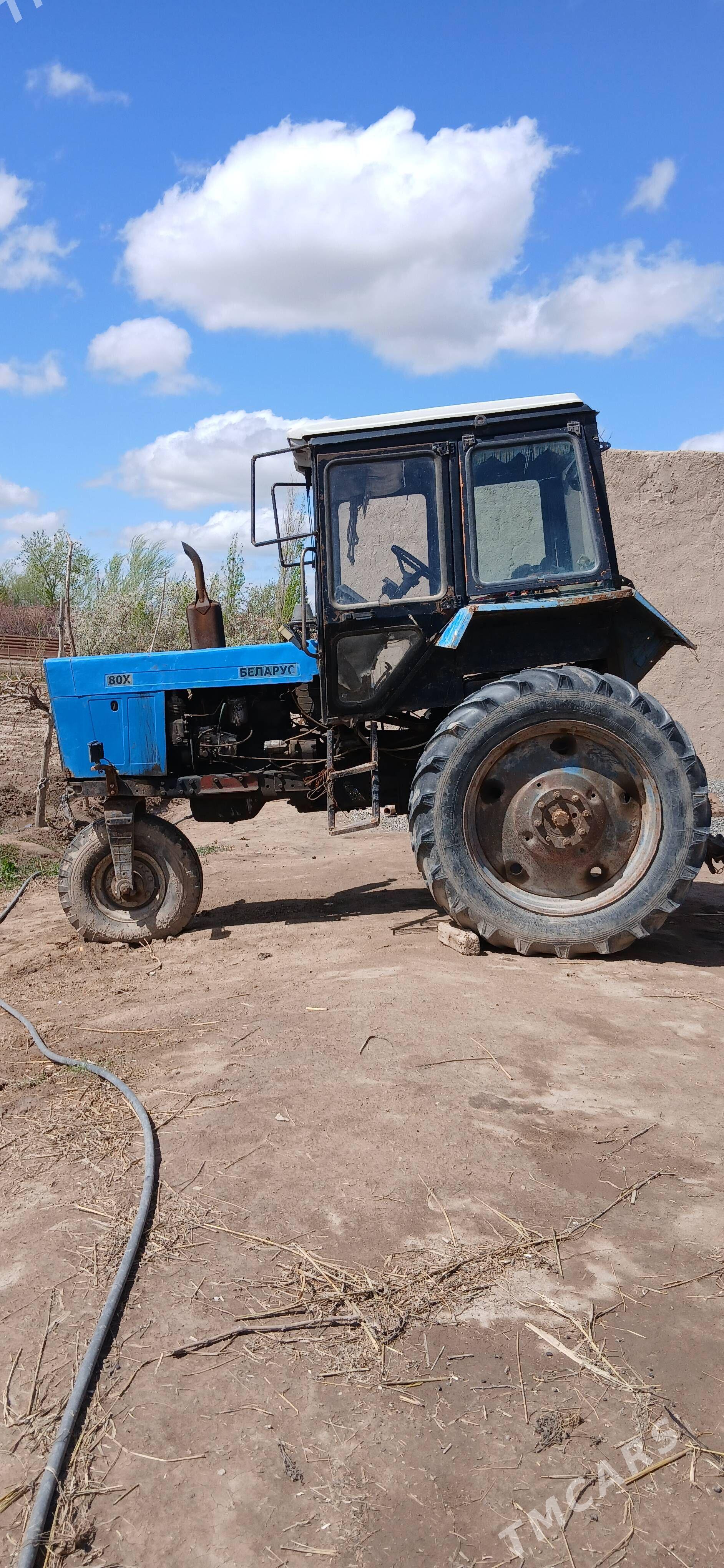 MTZ 80 2000 - 130 000 TMT - Gurbansoltan Eje - img 1