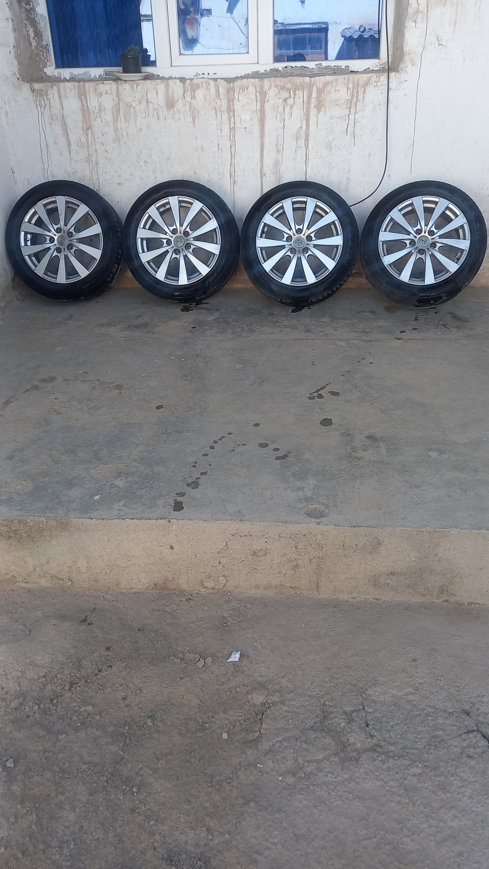 17 diska pakrishka 4 000 TMT - Daşoguz - img 1