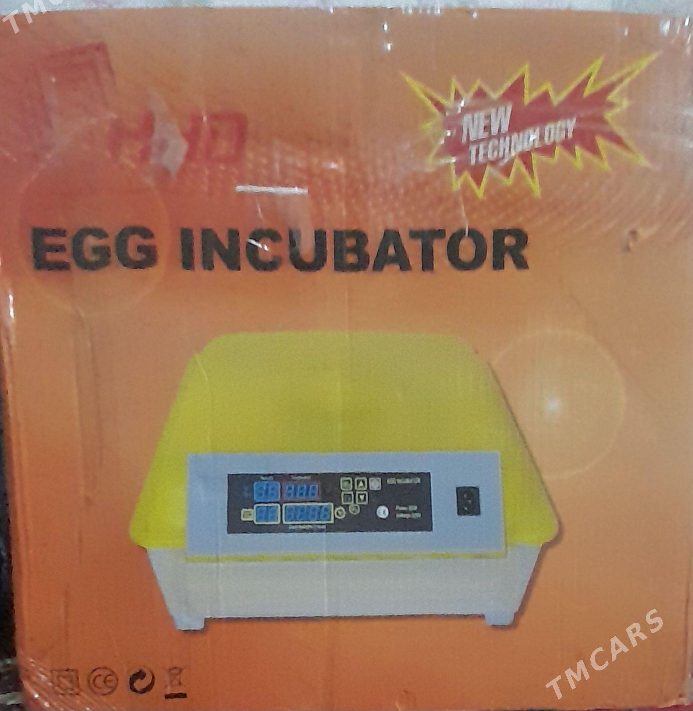 incubator - Арзув - img 1