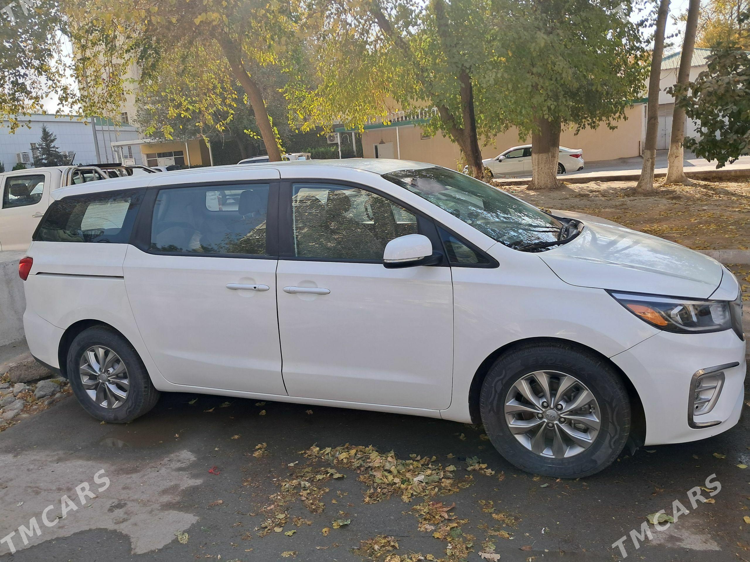 Kia Sedona 2020 - 325 000 TMT - Ашхабад - img 1