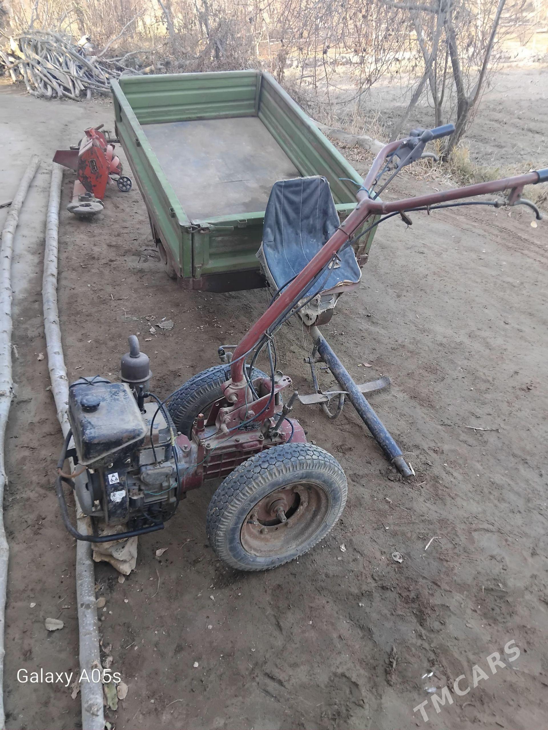 MTZ T-28 2023 - 14 000 TMT - Gurbansoltan Eje - img 1