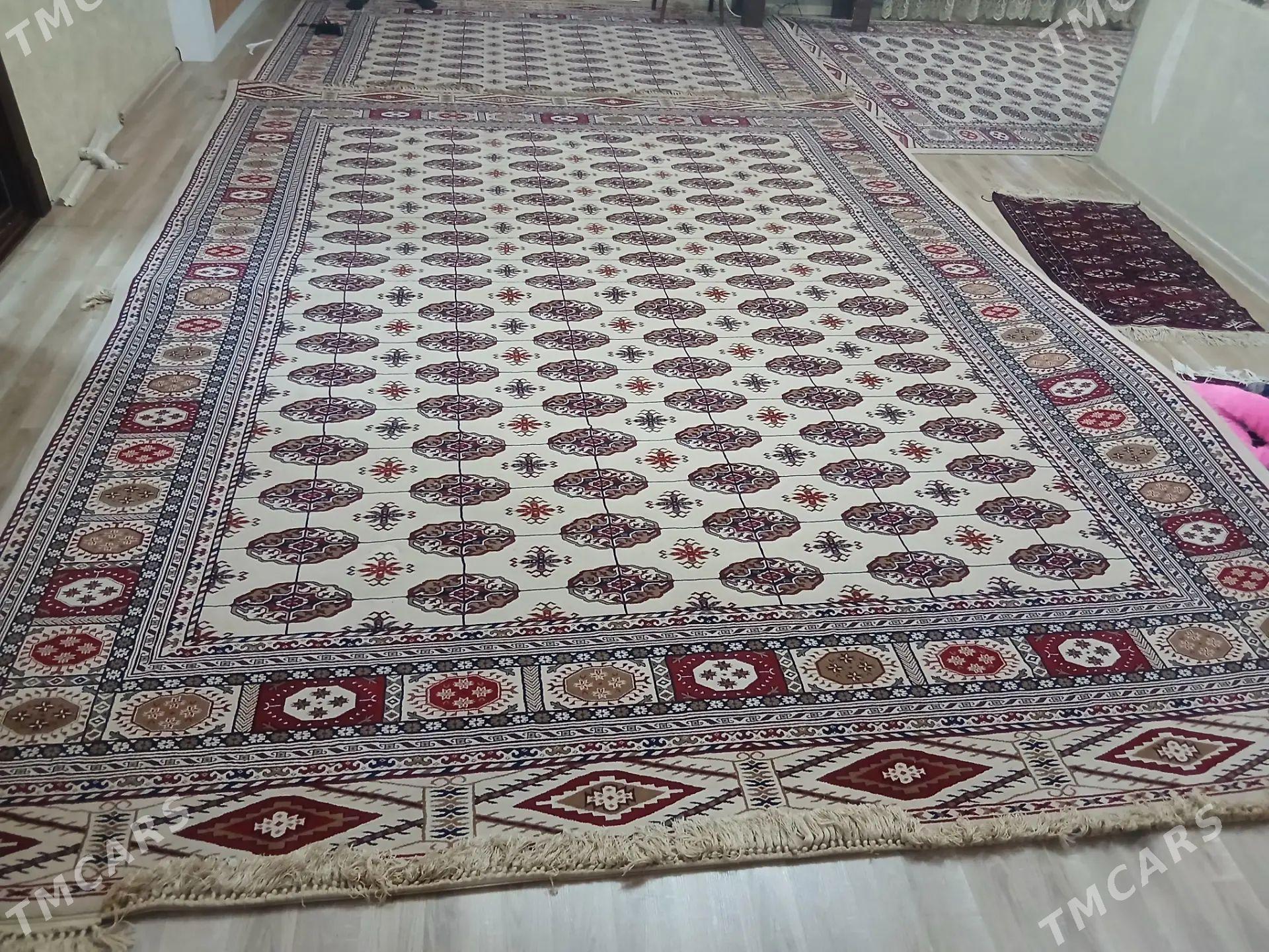 haly turk - Aşgabat - img 1