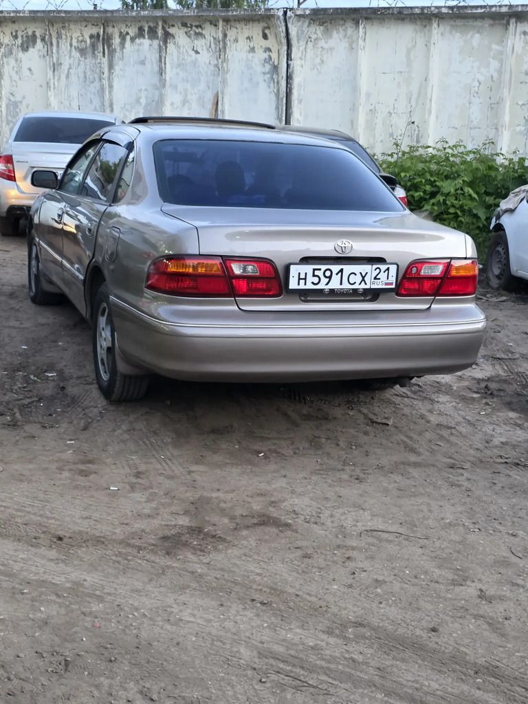 Awalon setka zanaweska 350 TMT - Aşgabat - img 1
