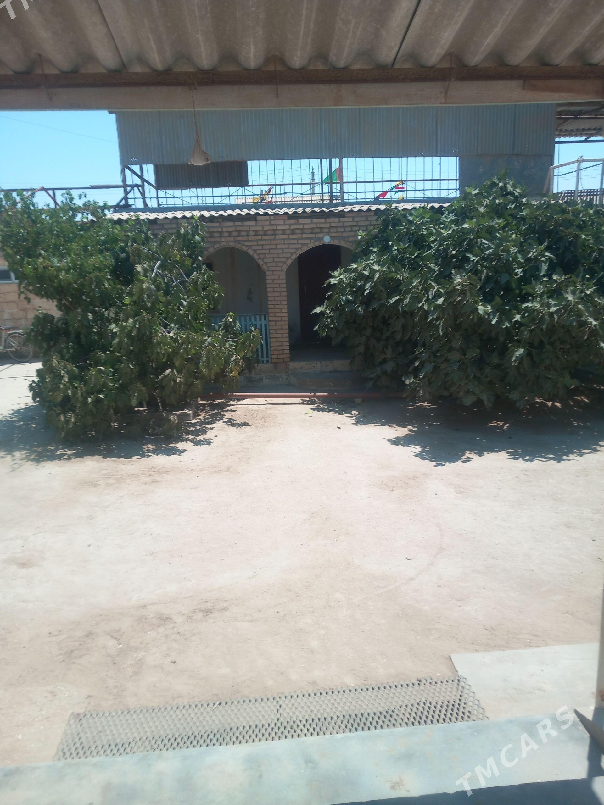 Ekerem (Priçal)jaý - Esenguly - img 1