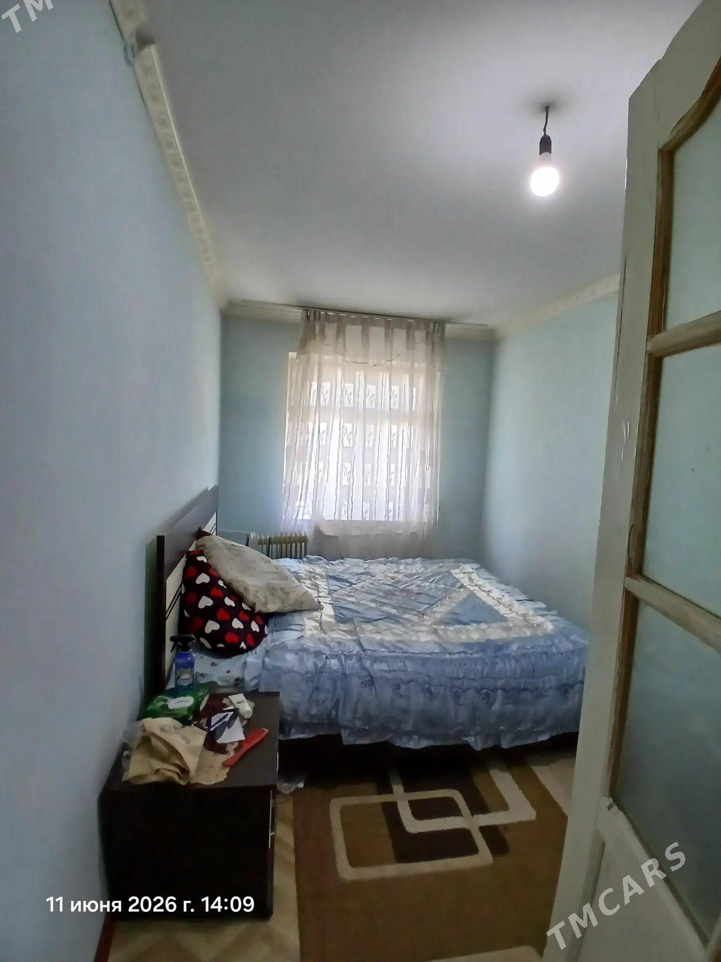 Arenda jay - Mary - img 1