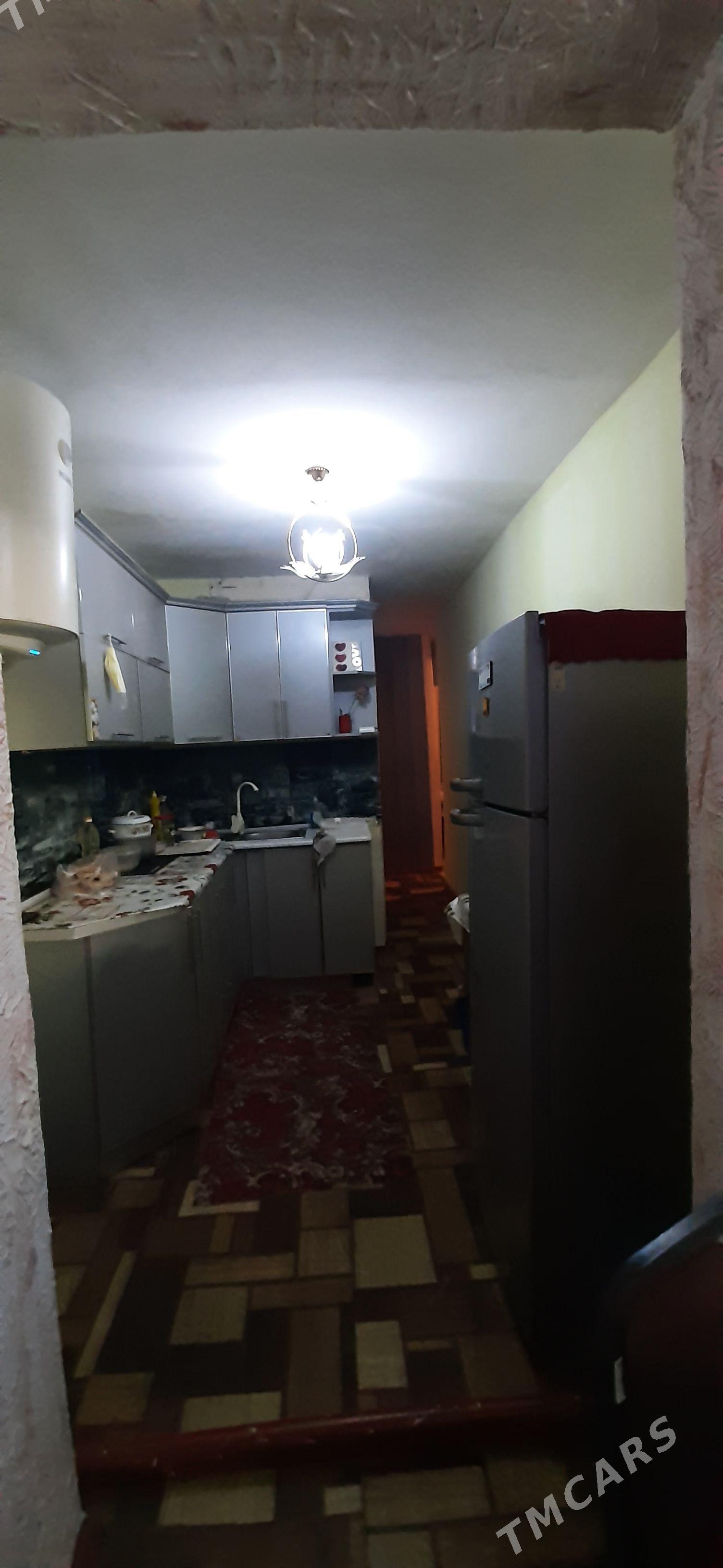 Аренда безмеин томатный 3ком - Büzmeýin - img 1