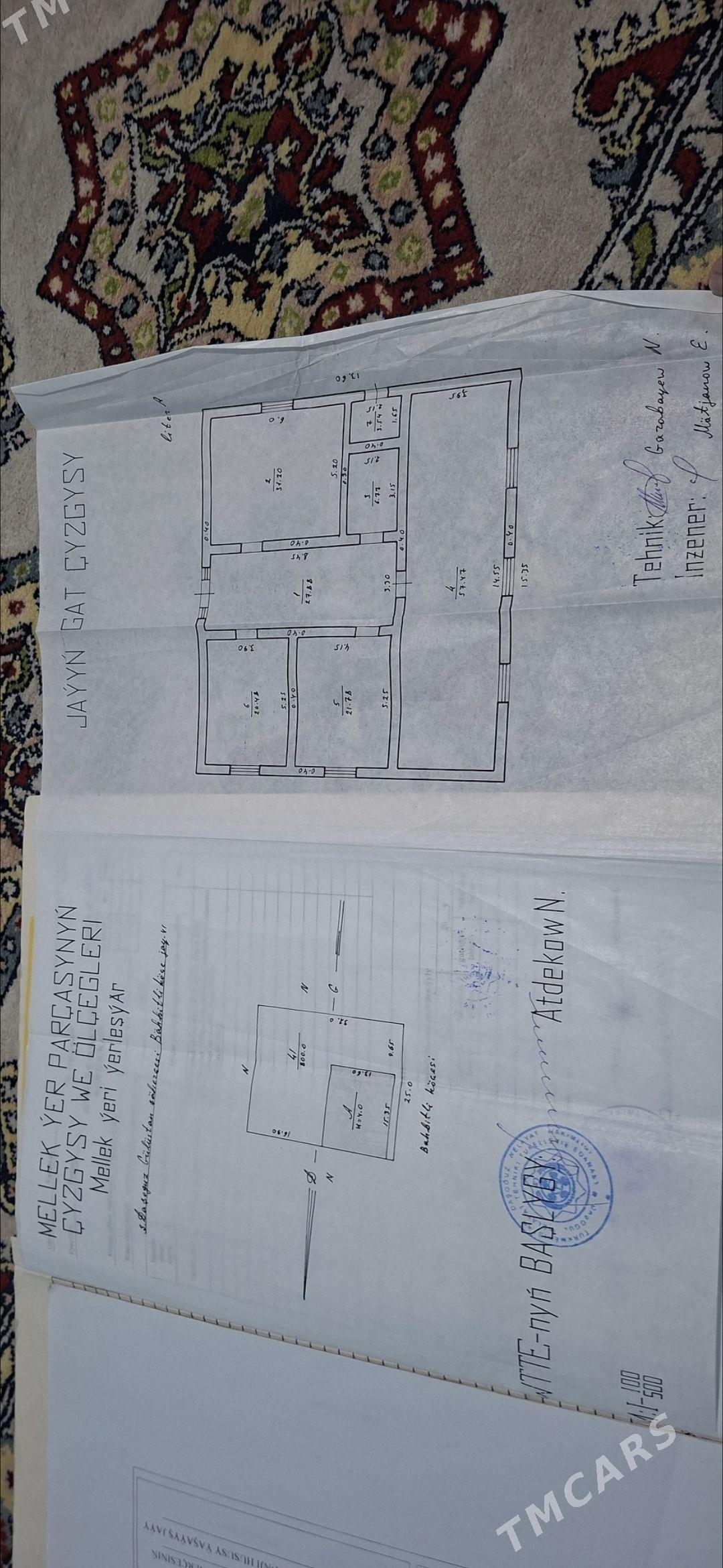 gulustan jay - Daşoguz - img 1