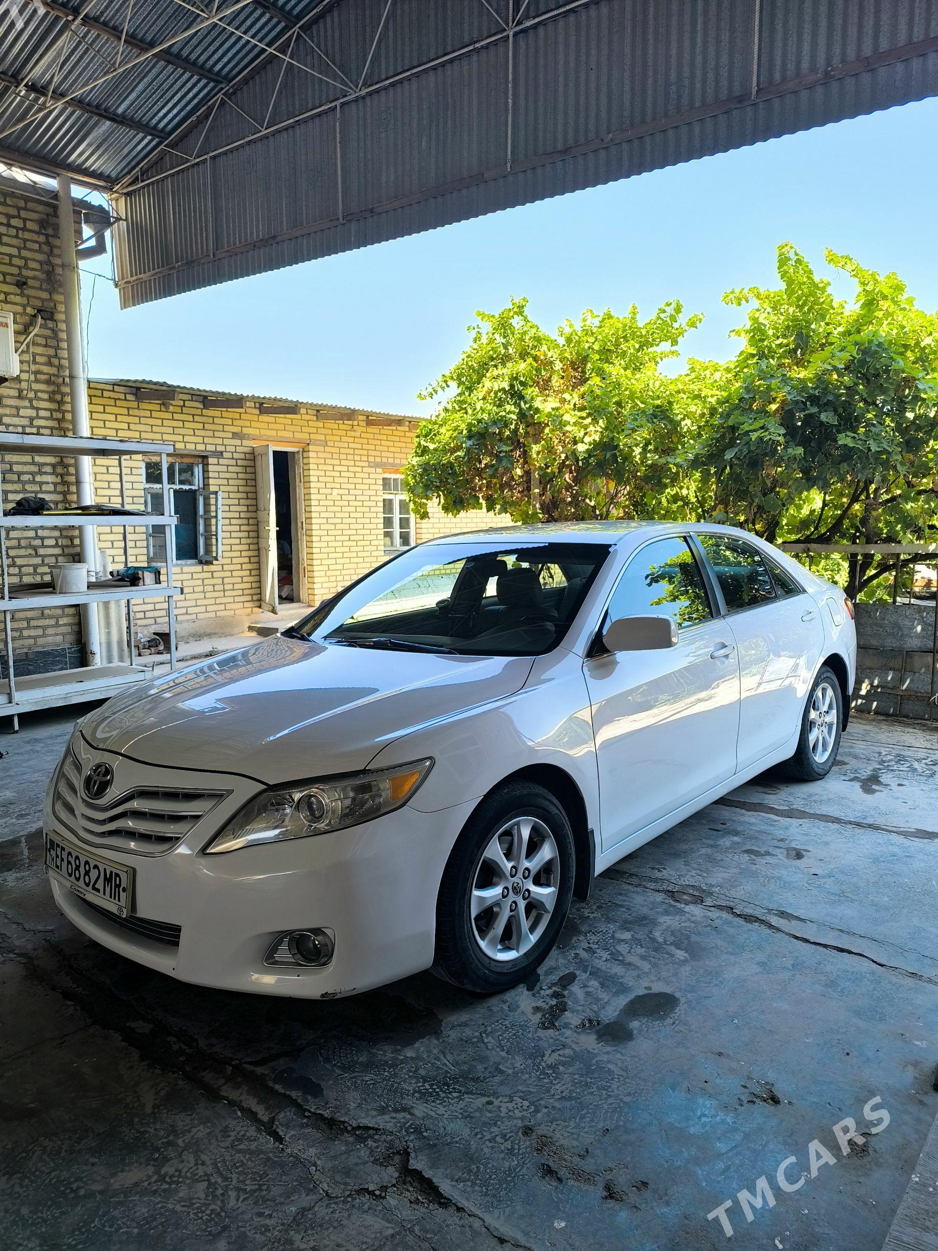 Toyota Camry 2010 - 250 000 TMT - Mary - img 1
