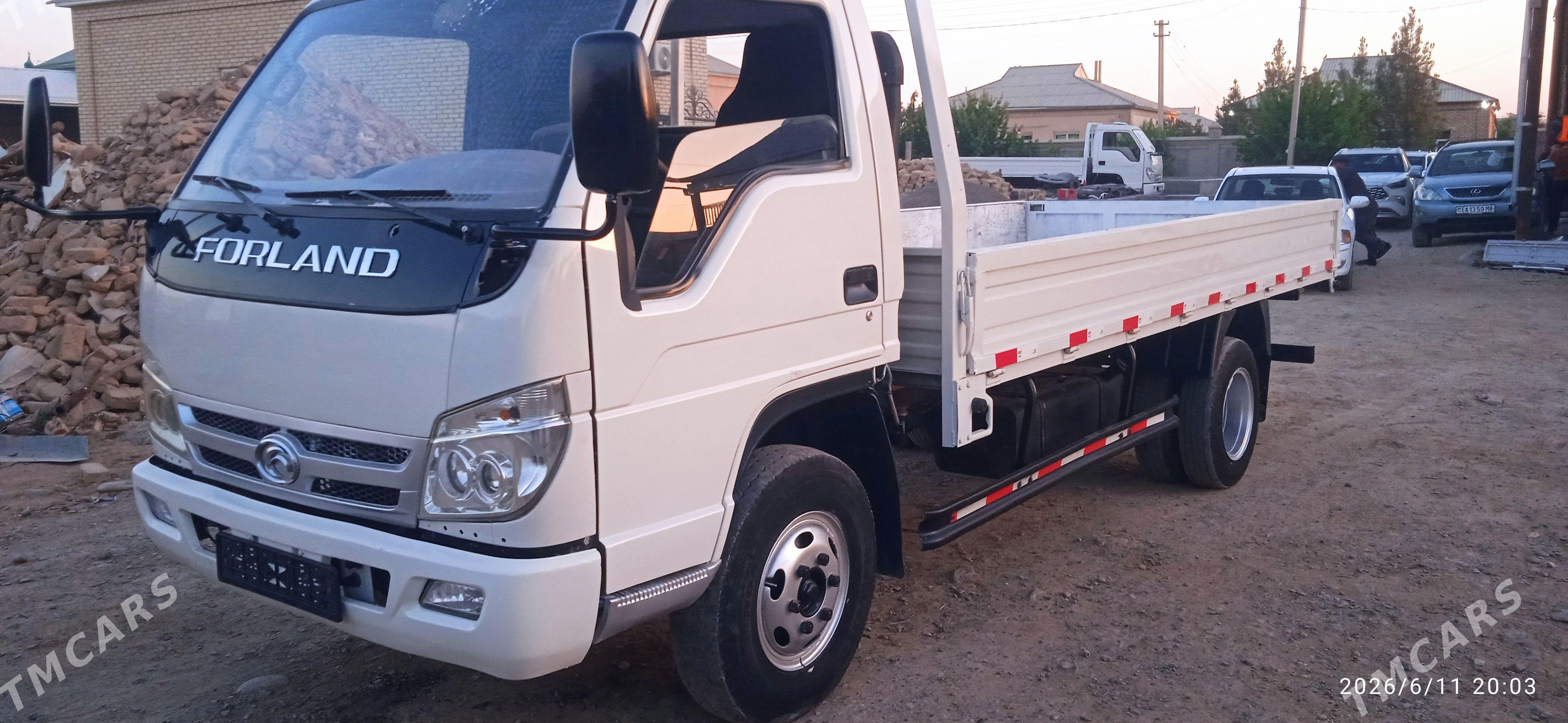 Forland H3 2014 - 132 000 TMT - Mary - img 1