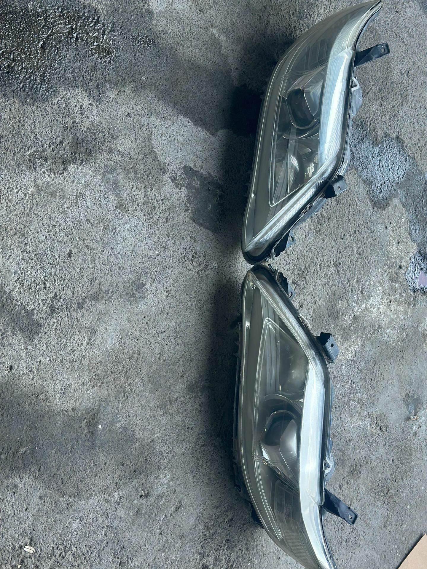 okuz kelle fara 1 500 TMT - Aşgabat - img 1
